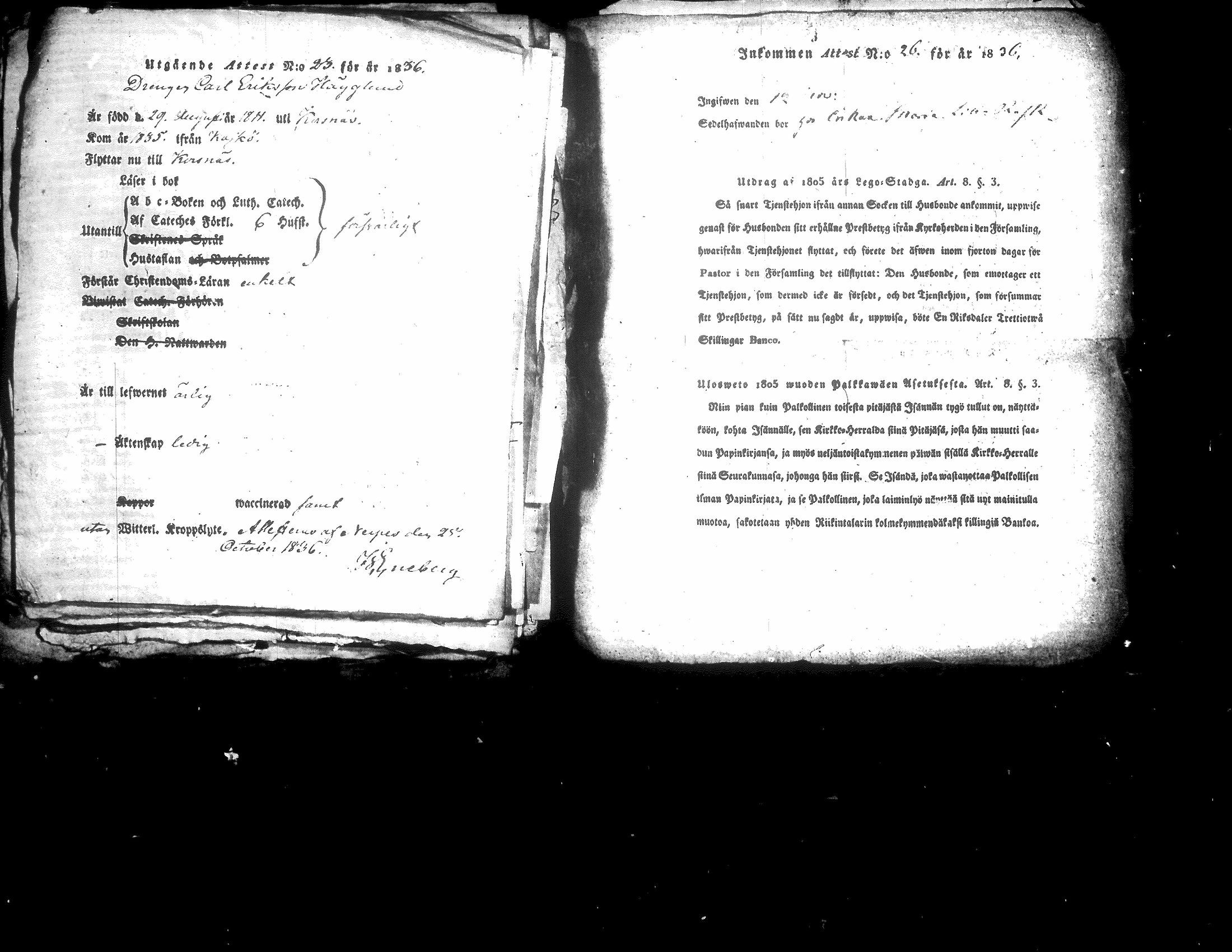 [ kuvat/196.jpg ]