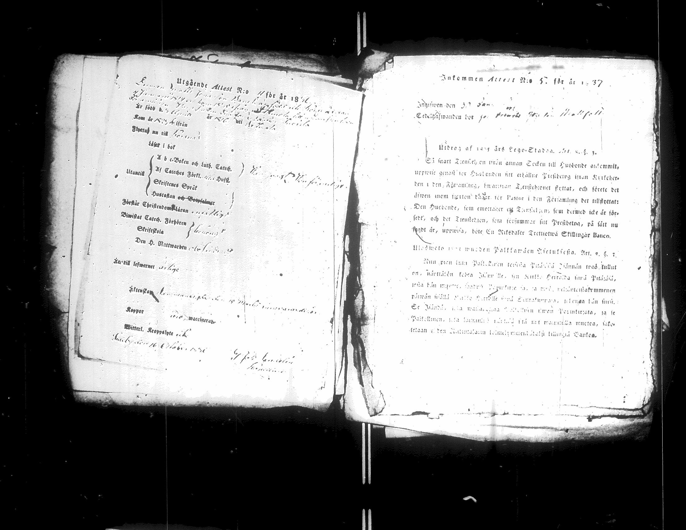 [ kuvat/229.jpg ]