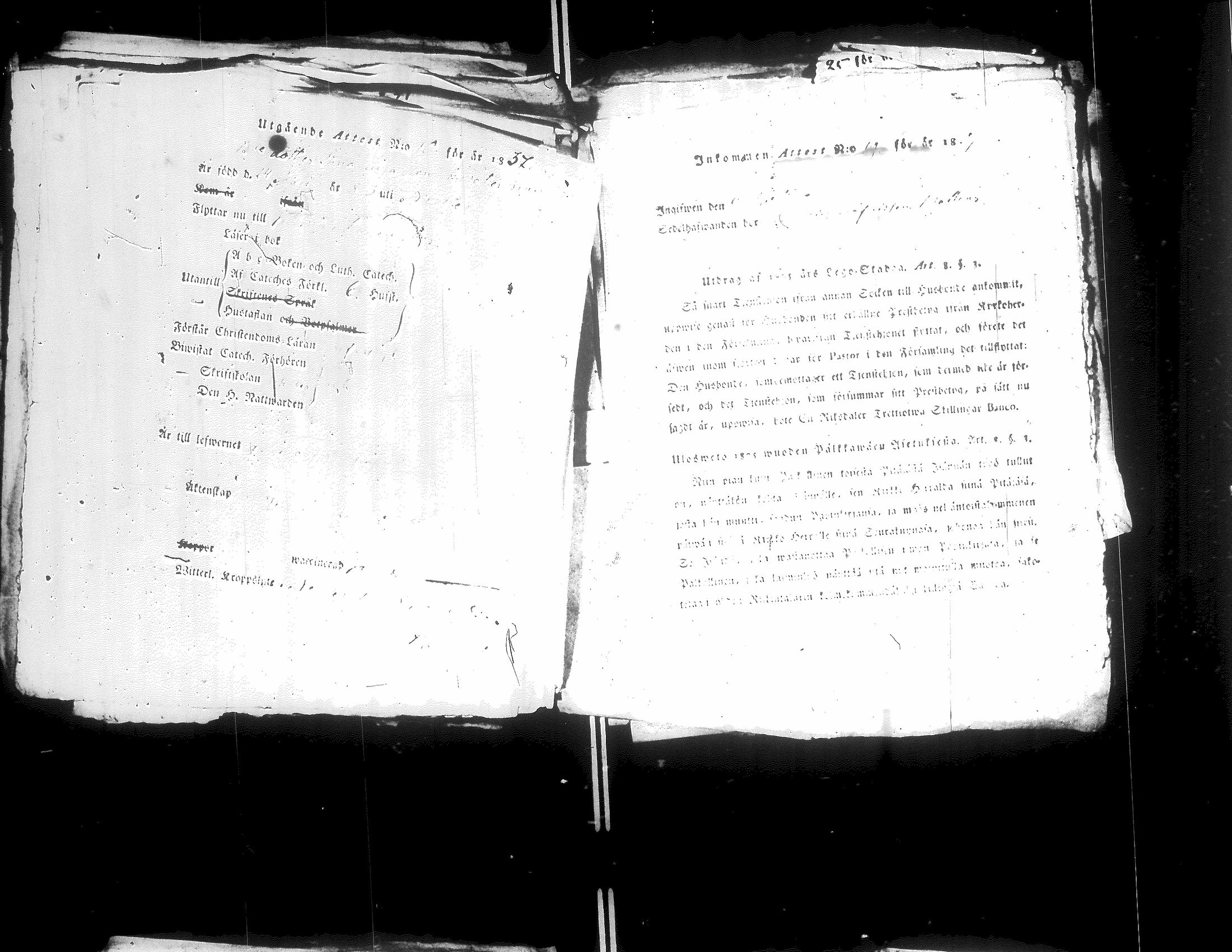 [ kuvat/242.jpg ]