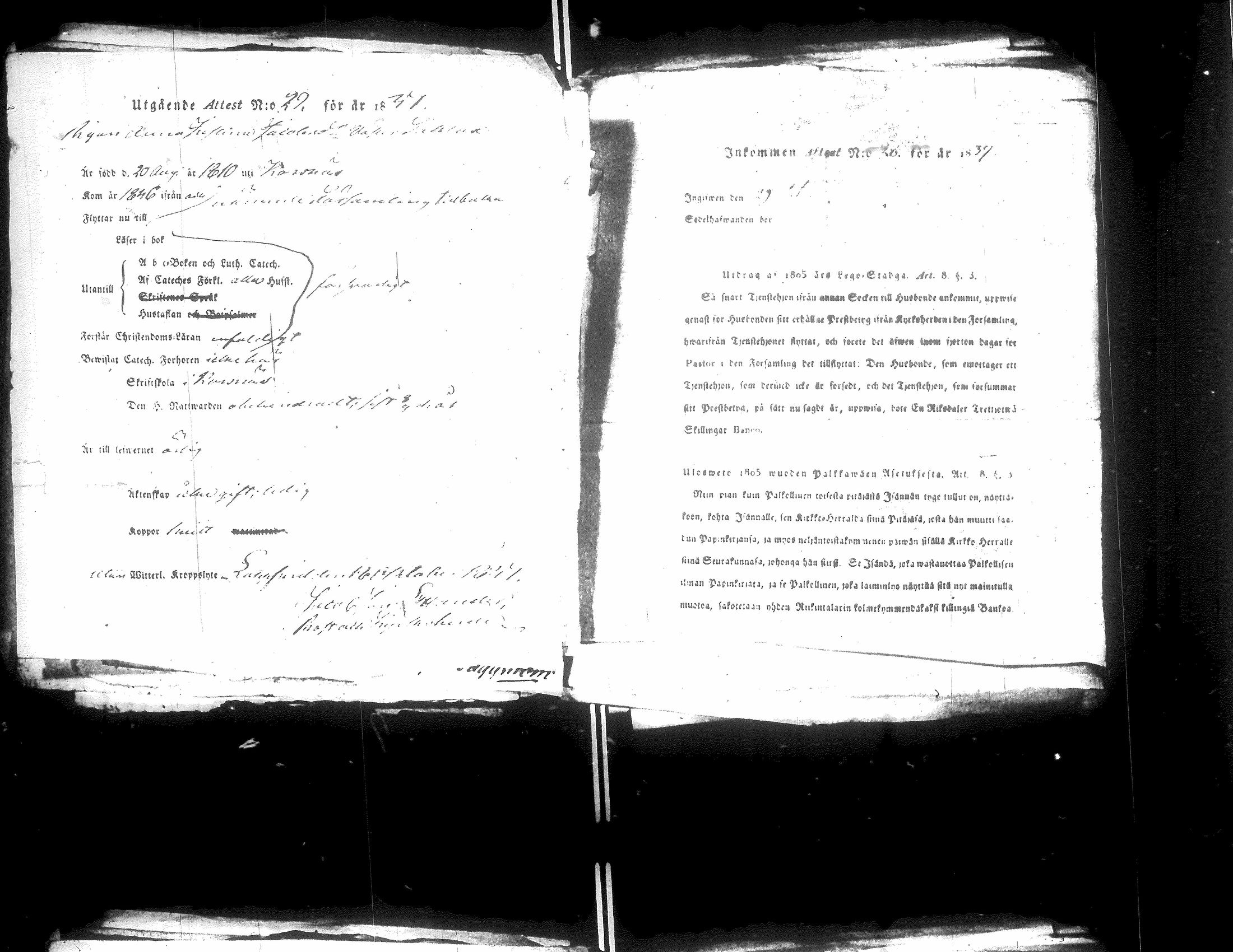 [ kuvat/251.jpg ]
