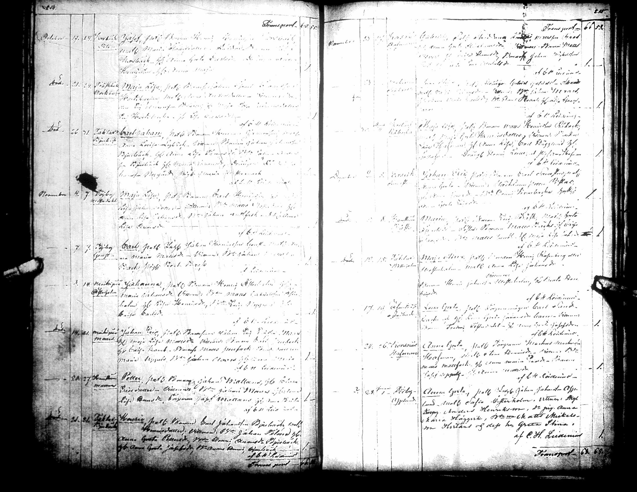 [ kuvat/117.jpg ]