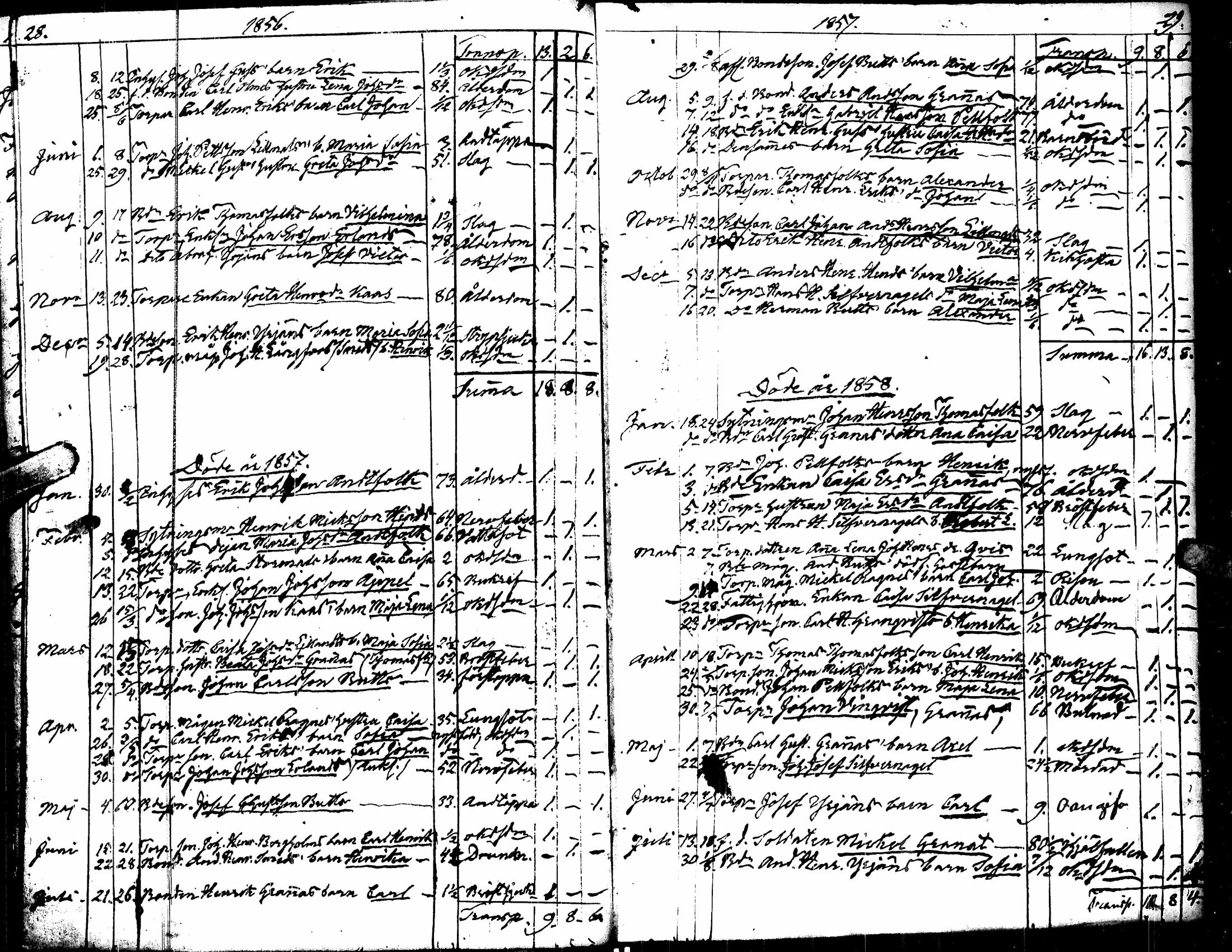 [ kuvat/184.jpg ]