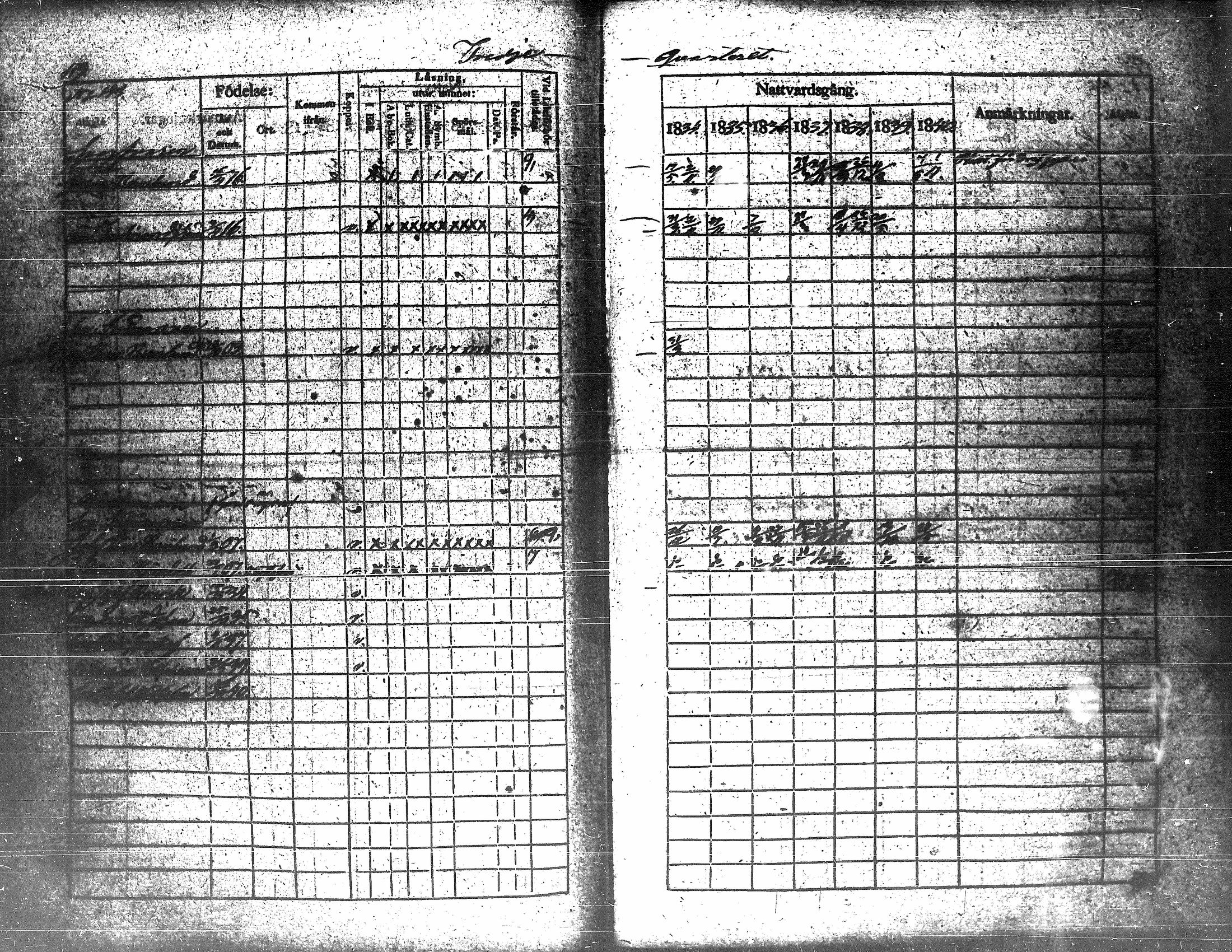 [ kuvat/127.jpg ]