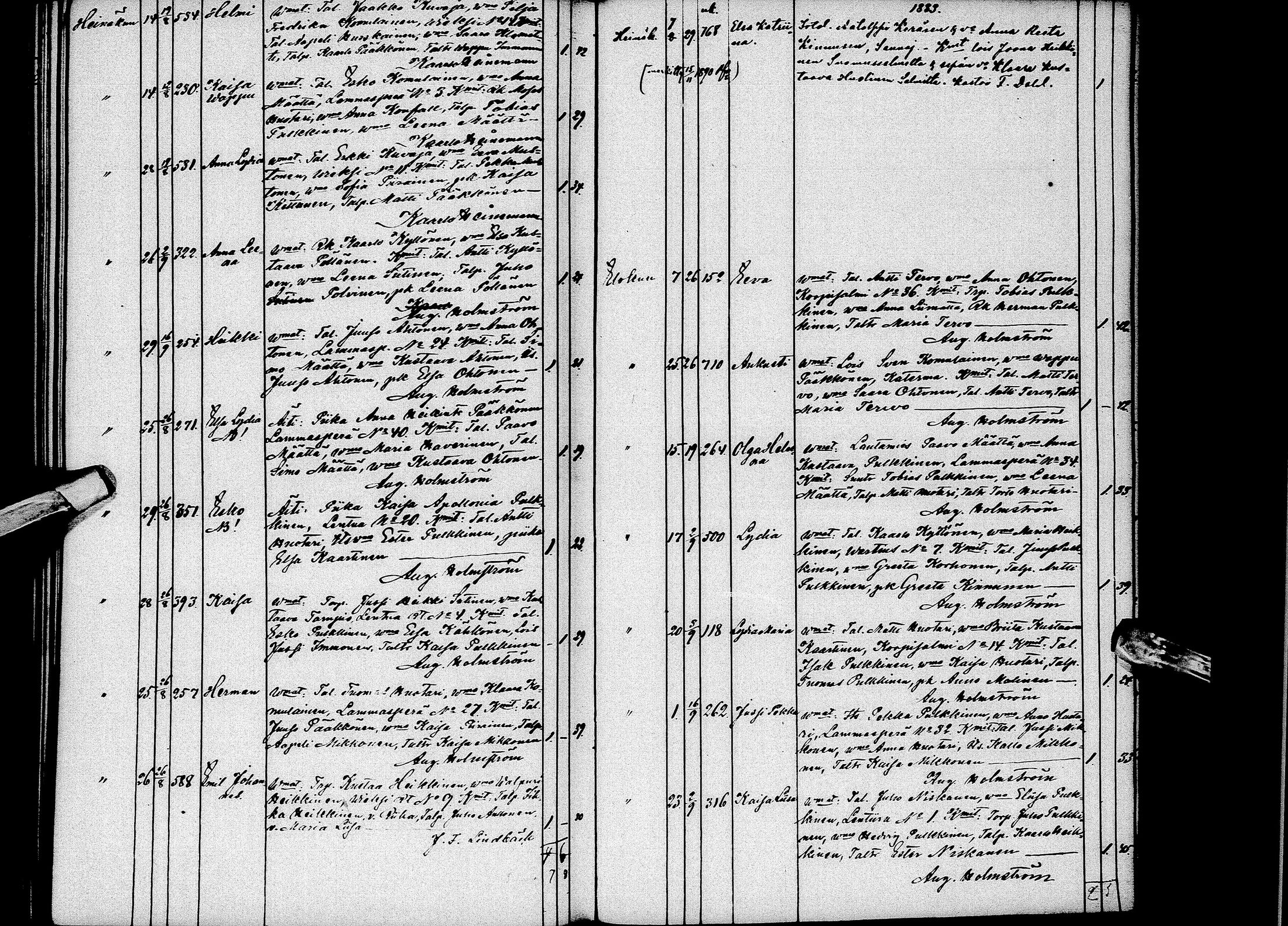 [ kuvat/249.jpg ]