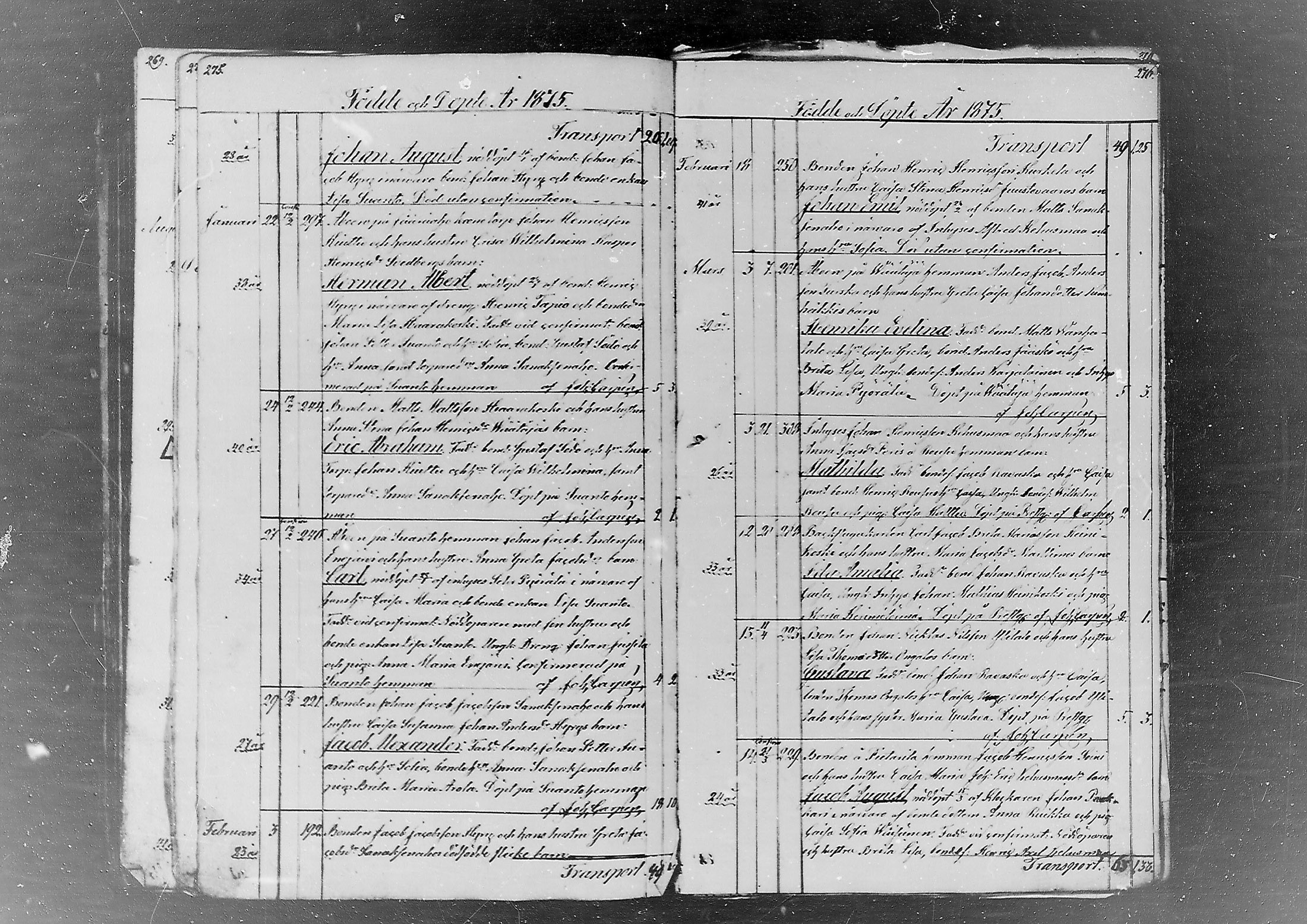 [ kuvat/81.jpg ]