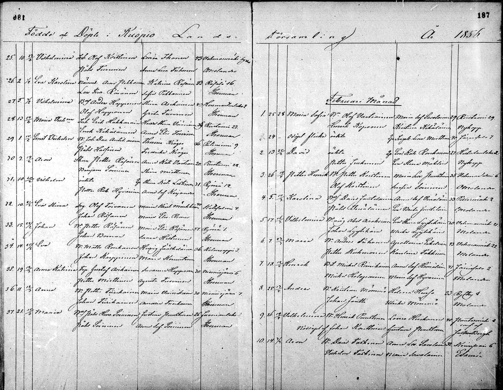 [ kuvat/187.jpg ]