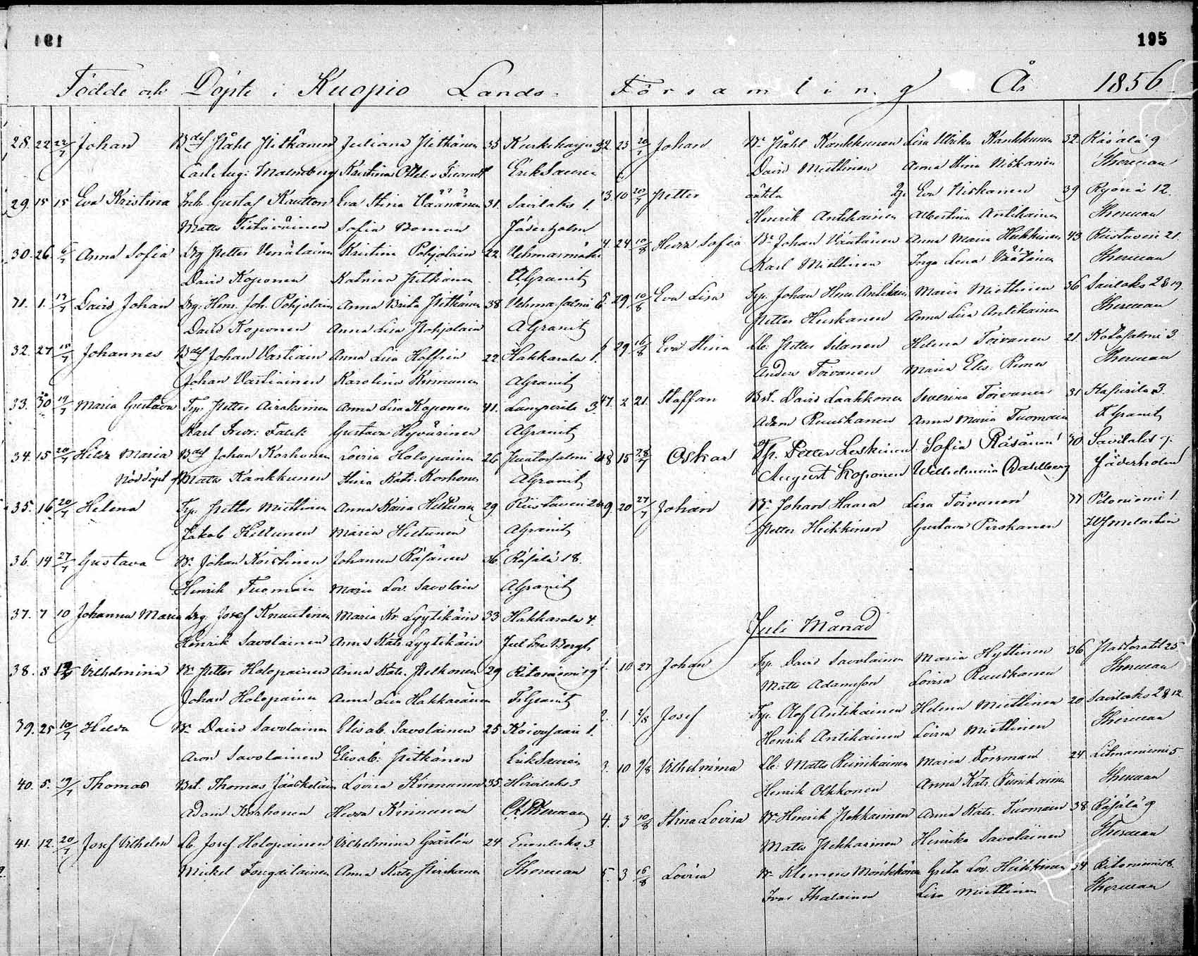 [ kuvat/195.jpg ]