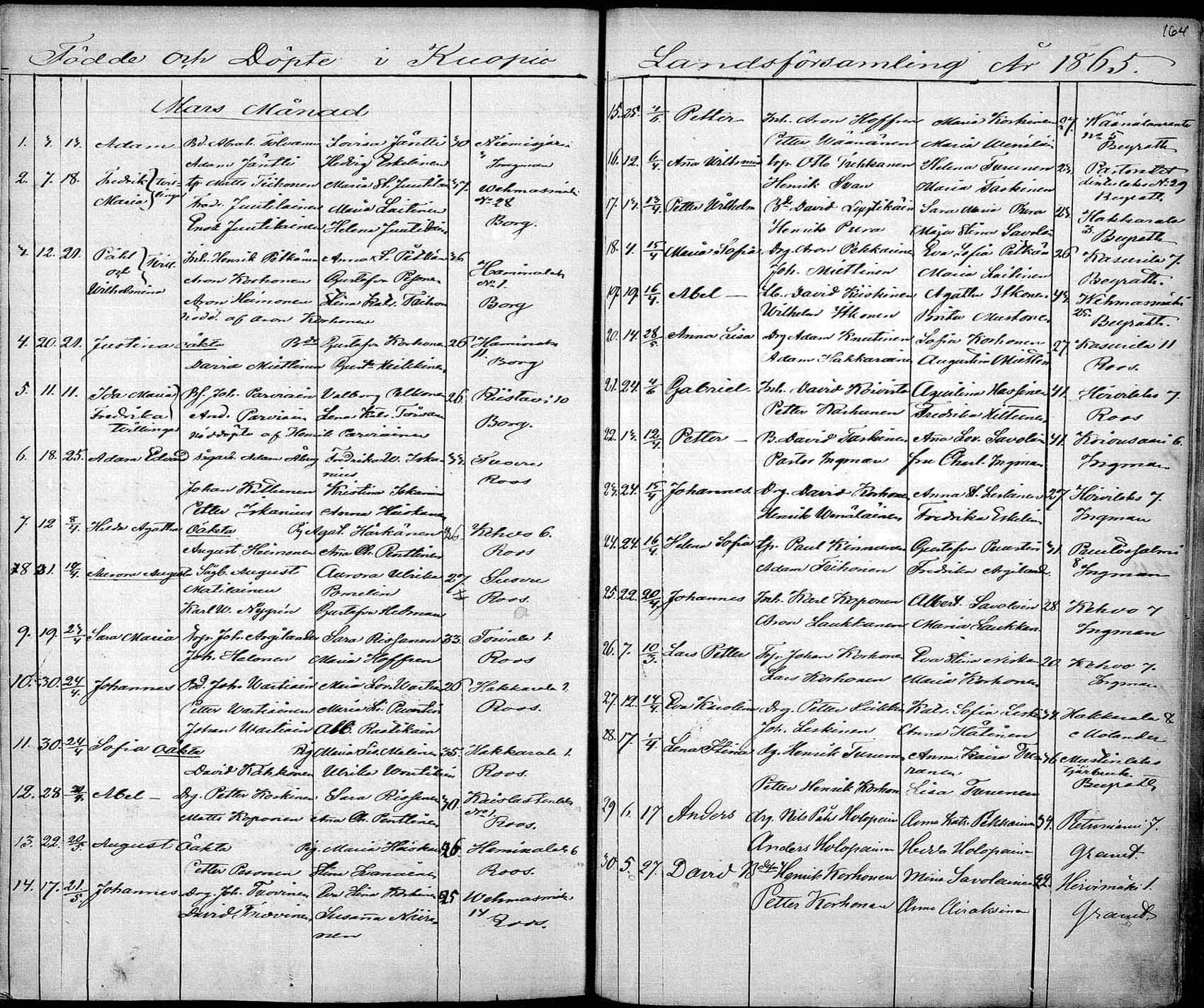 [ kuvat/164.jpg ]