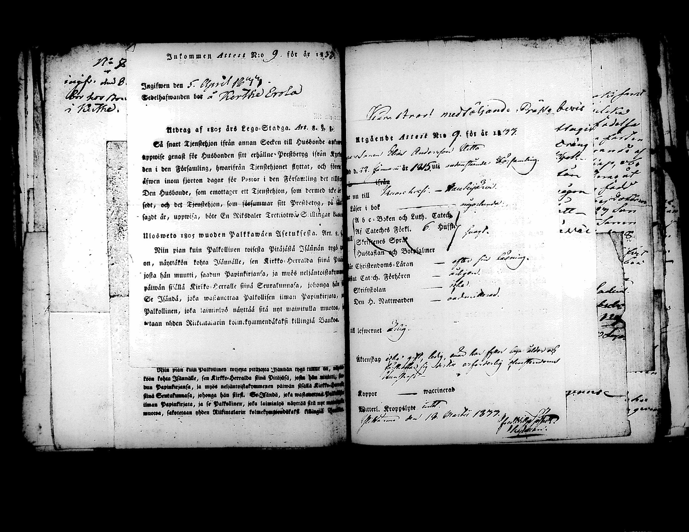 [ kuvat/215.jpg ]