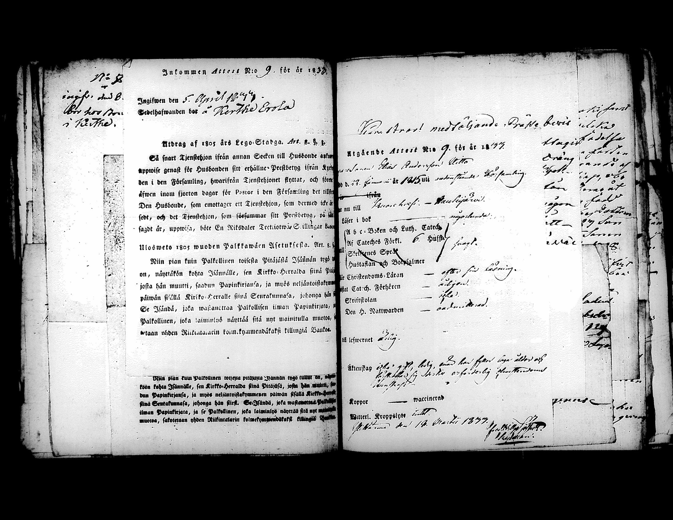 [ kuvat/216.jpg ]