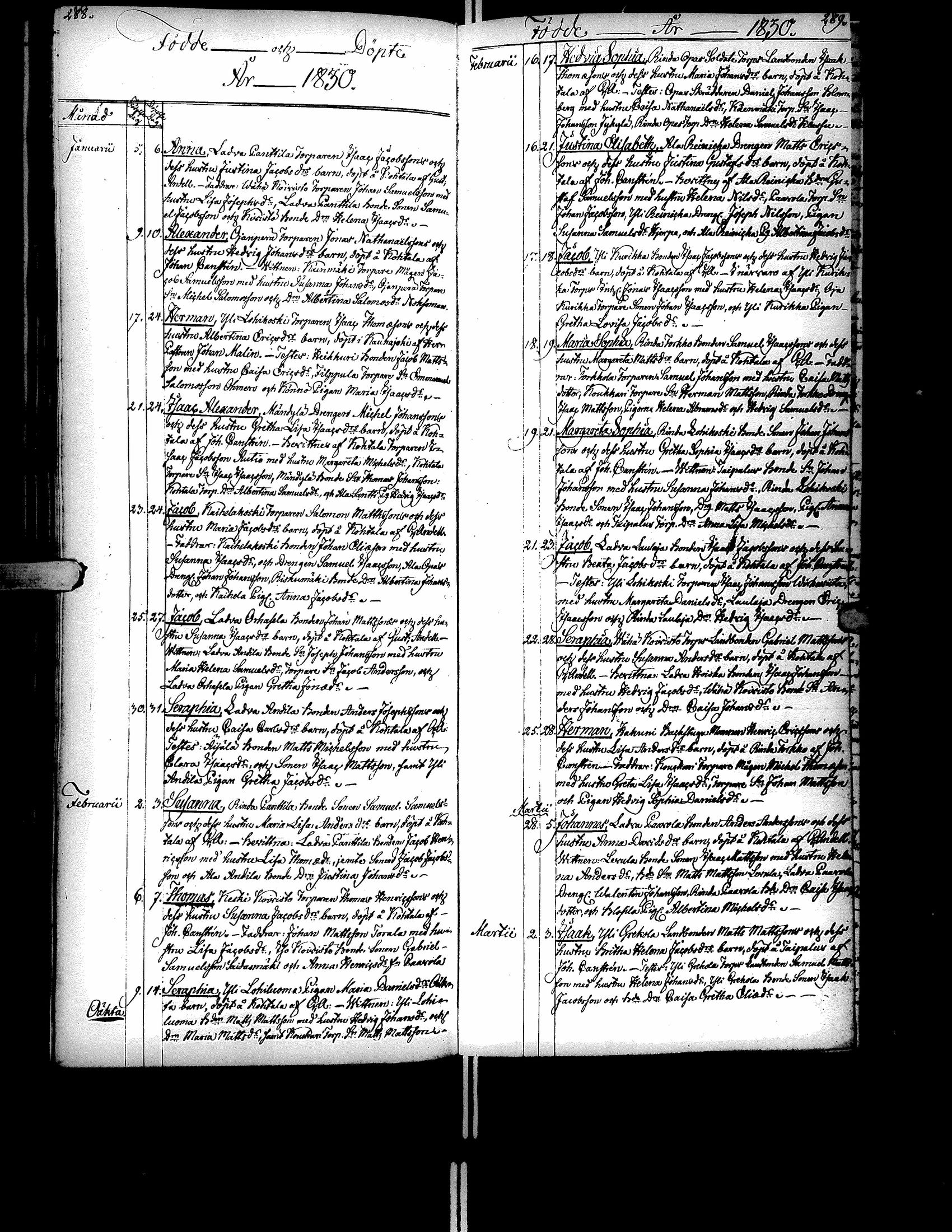 [ kuvat/158.jpg ]