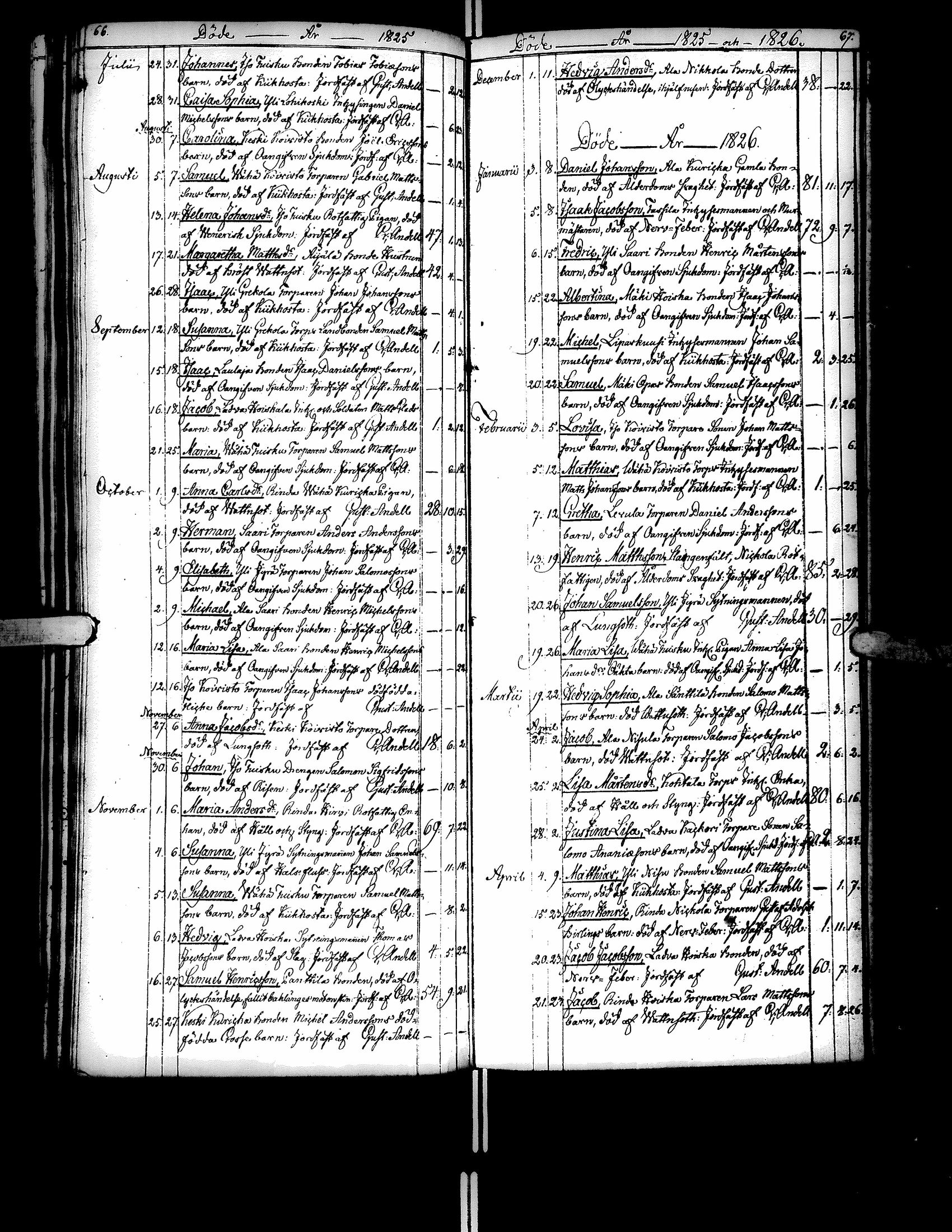 [ kuvat/204.jpg ]