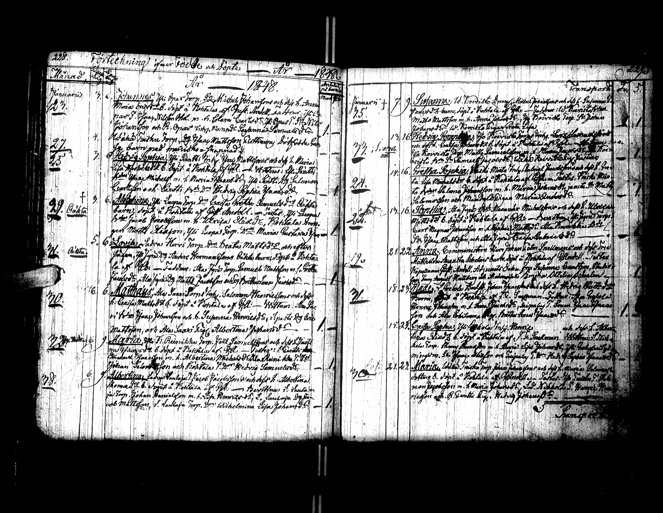 [ kuvat/177.jpg ]