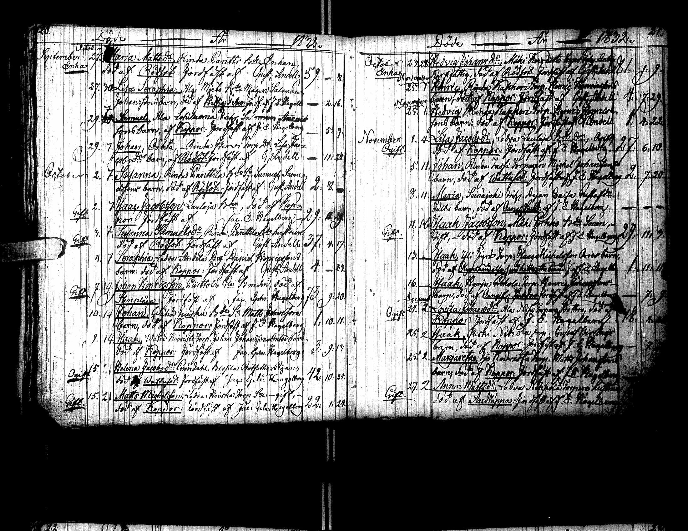 [ kuvat/206.jpg ]