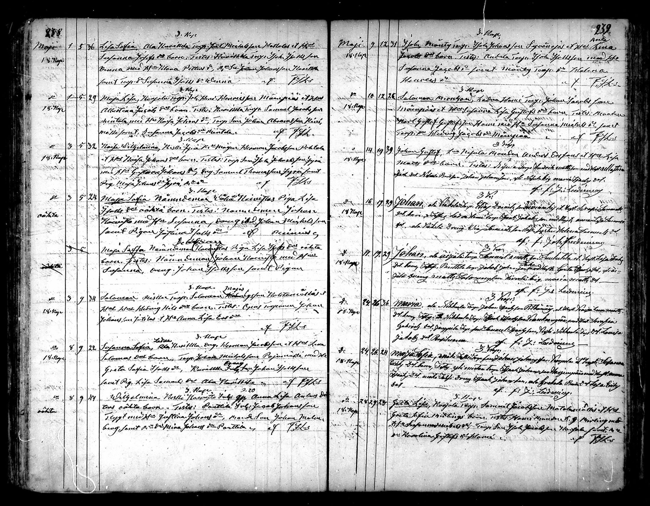 [ kuvat/120.jpg ]