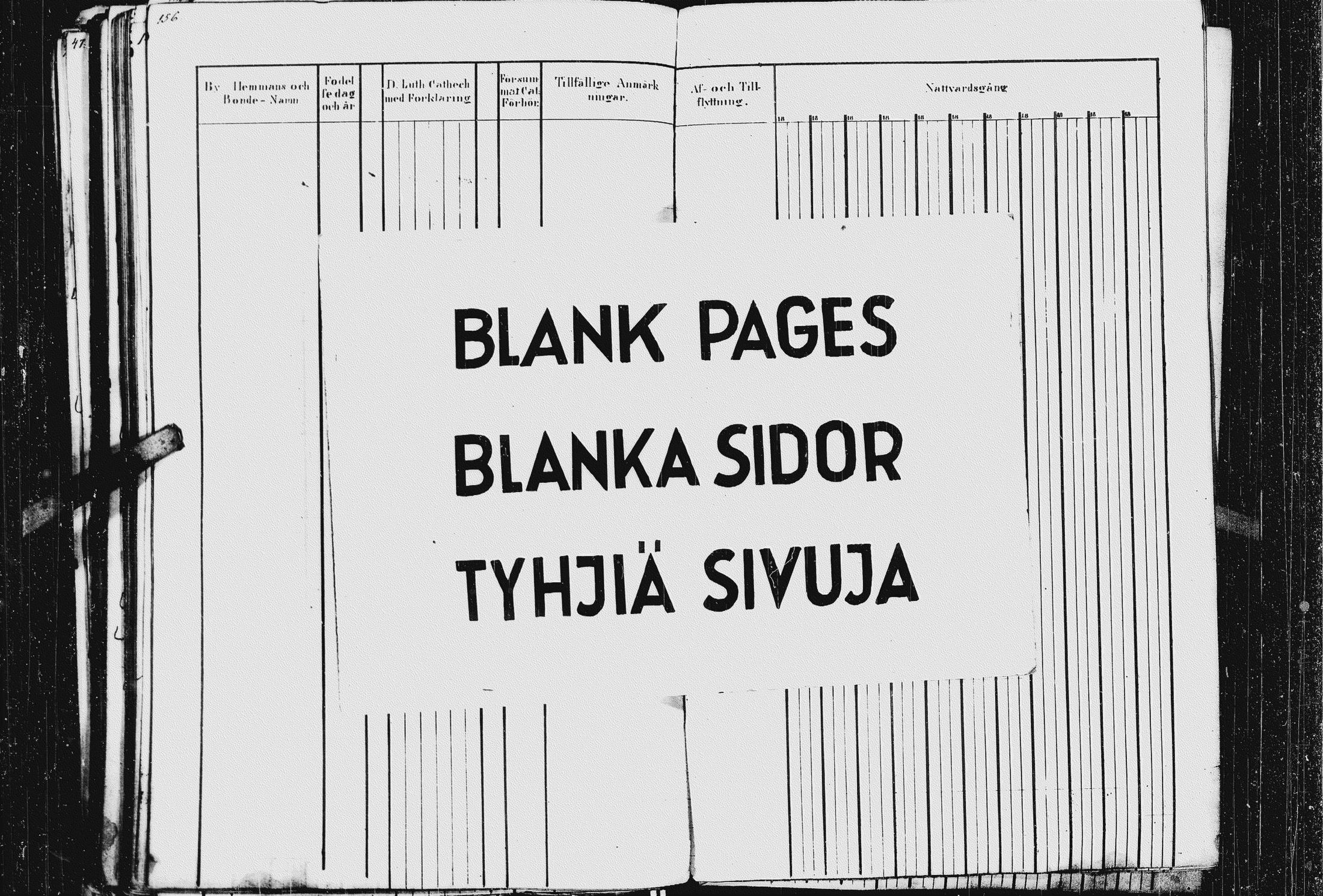 [ kuvat/161.jpg ]