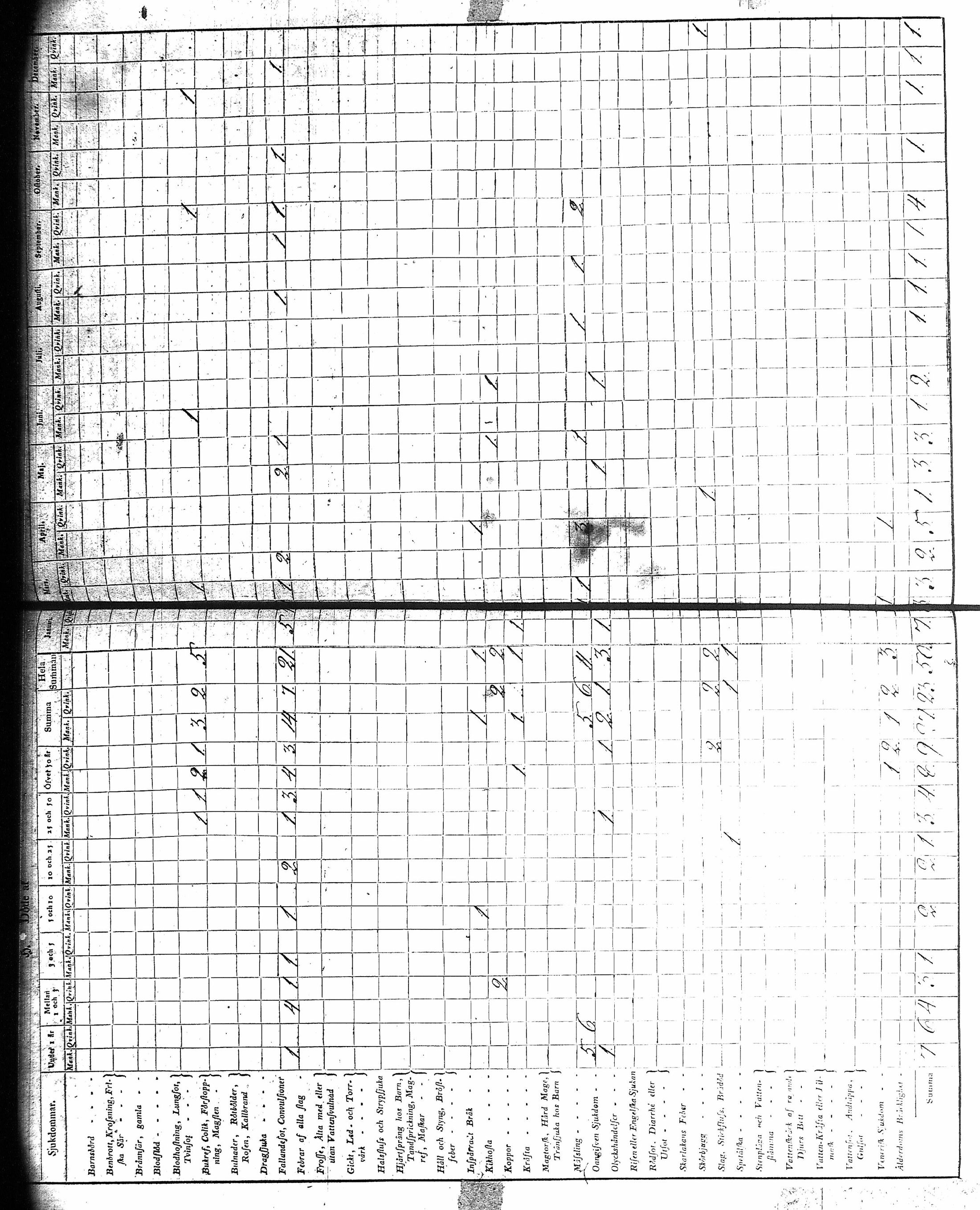 [ kuvat/167.jpg ]