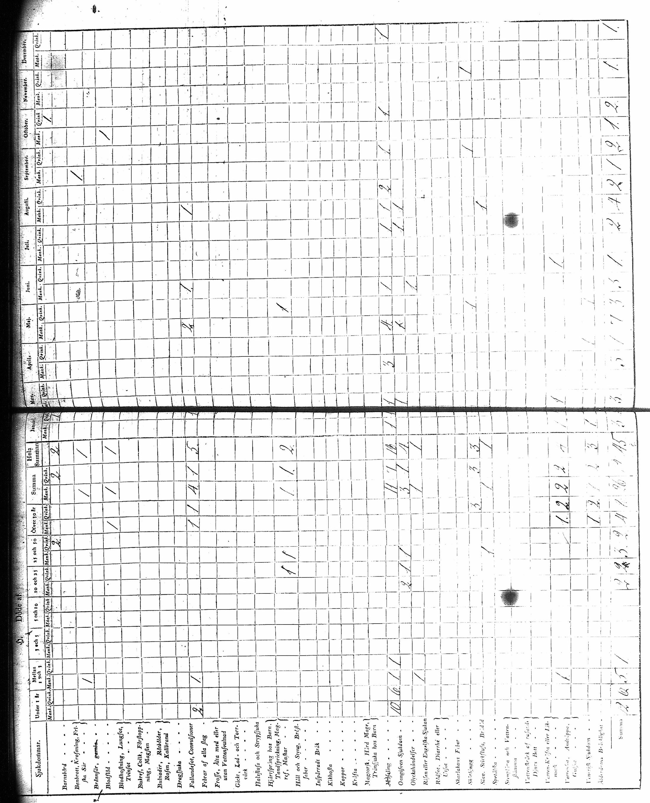 [ kuvat/173.jpg ]