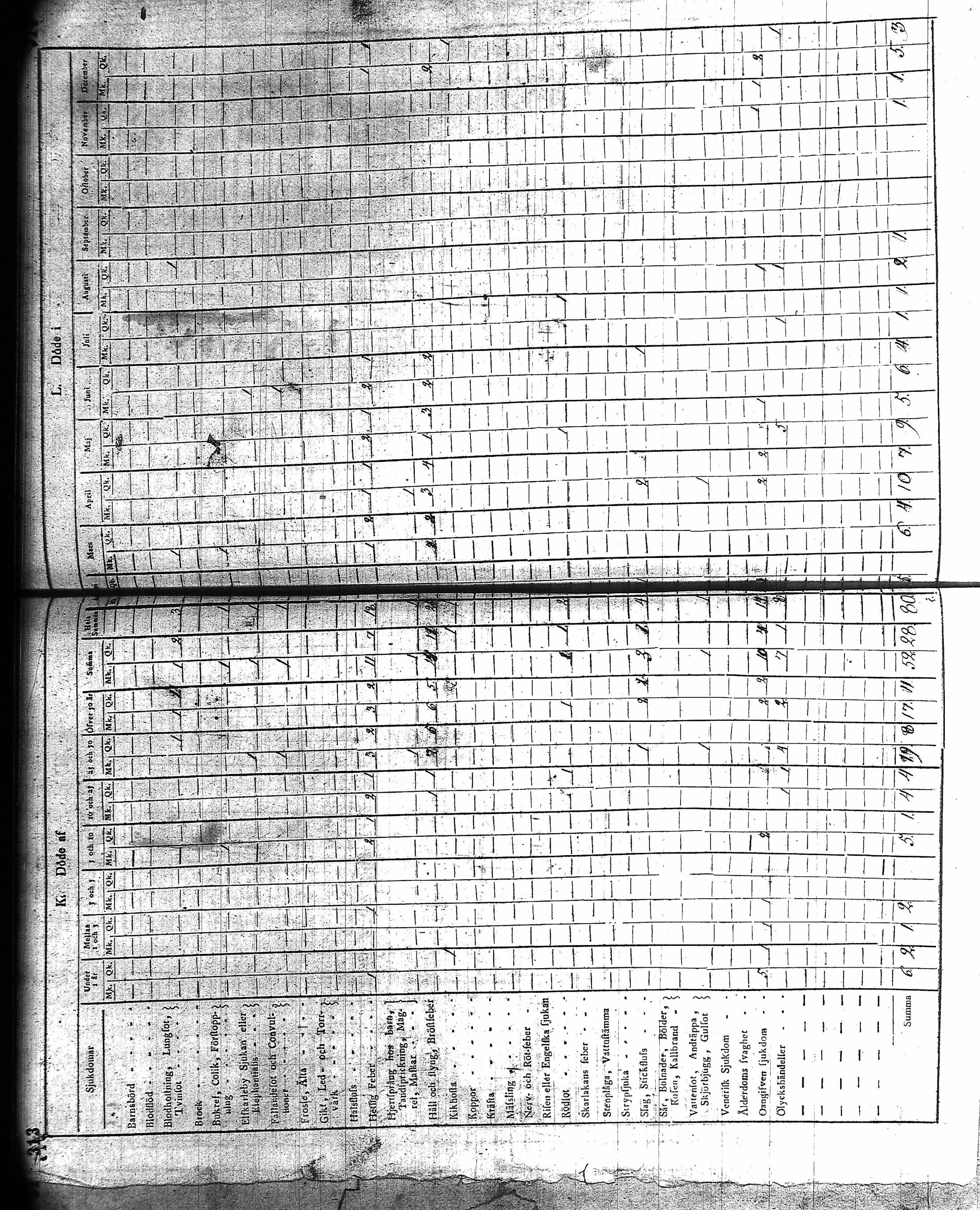 [ kuvat/186.jpg ]