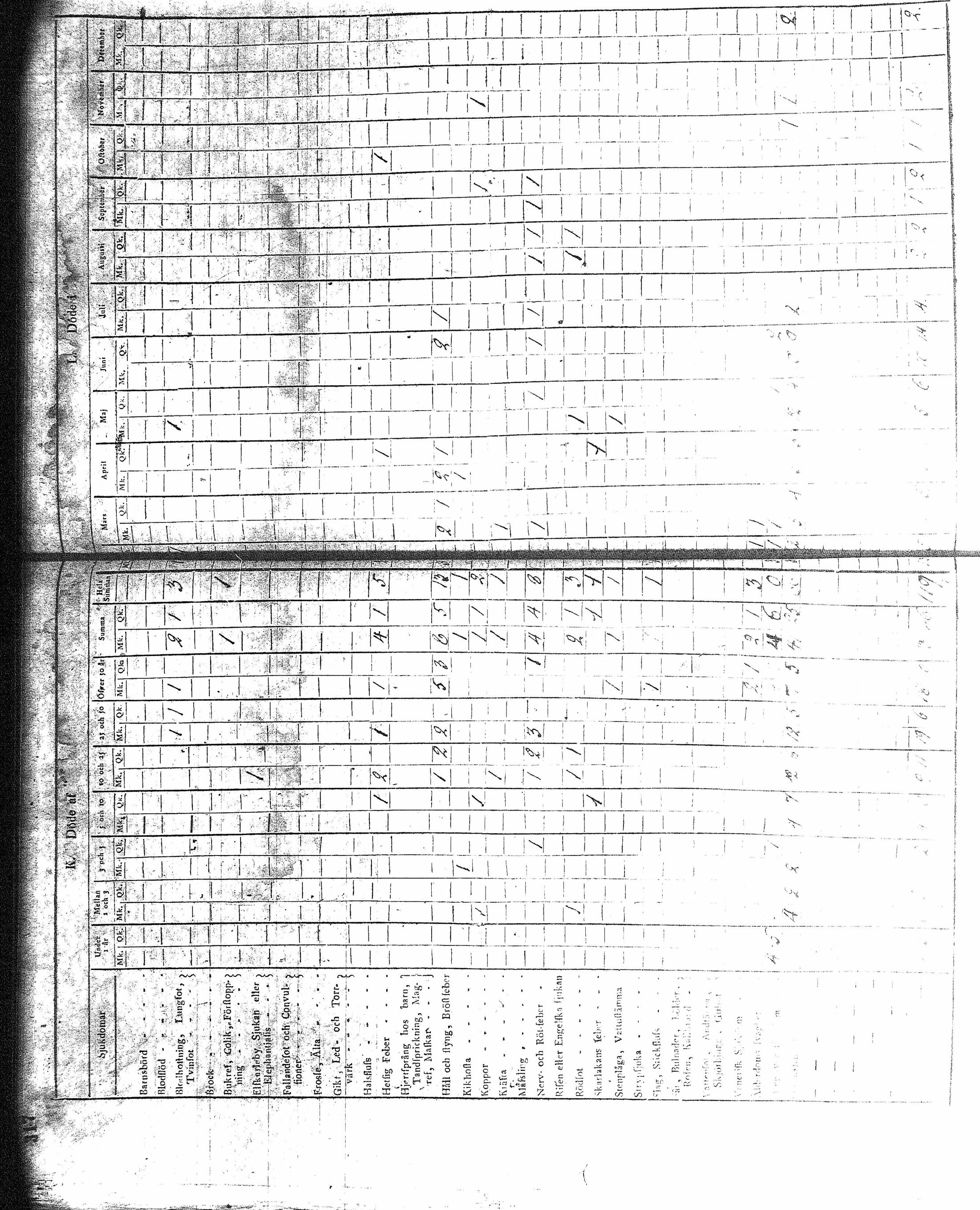 [ kuvat/189.jpg ]