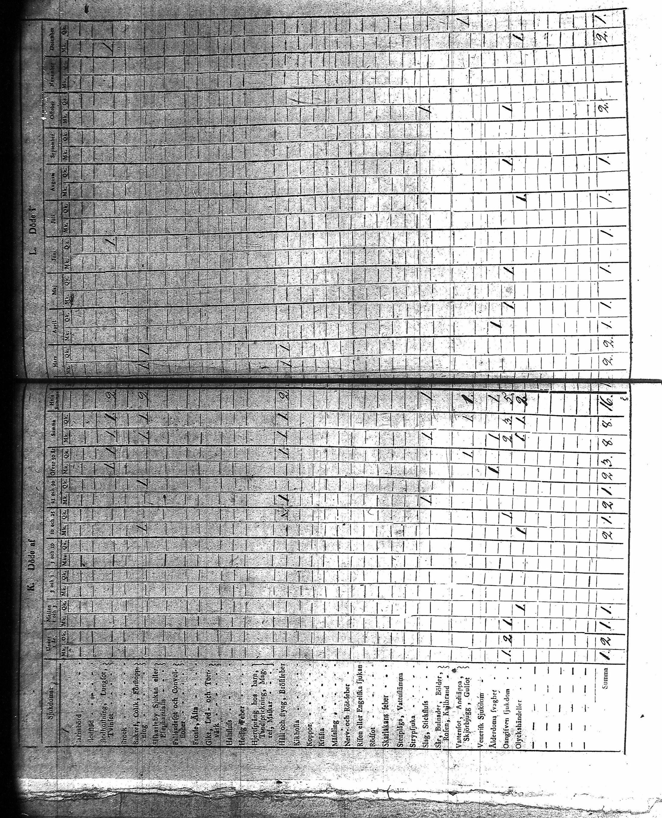 [ kuvat/219.jpg ]