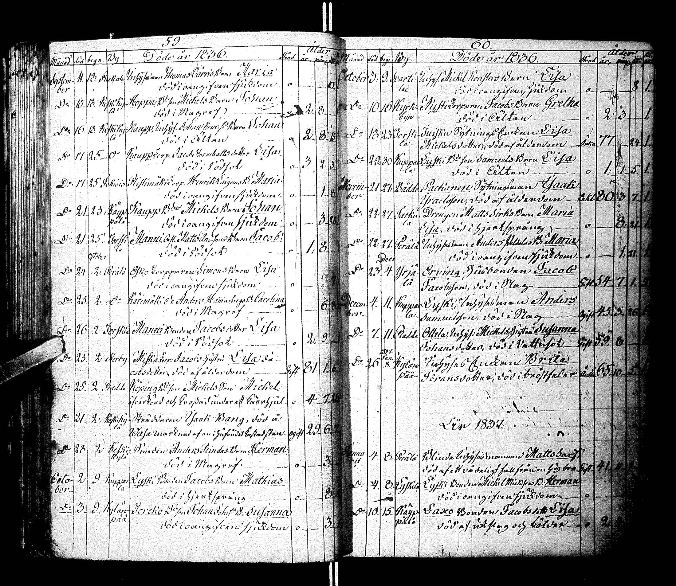 [ kuvat/35.jpg ]
