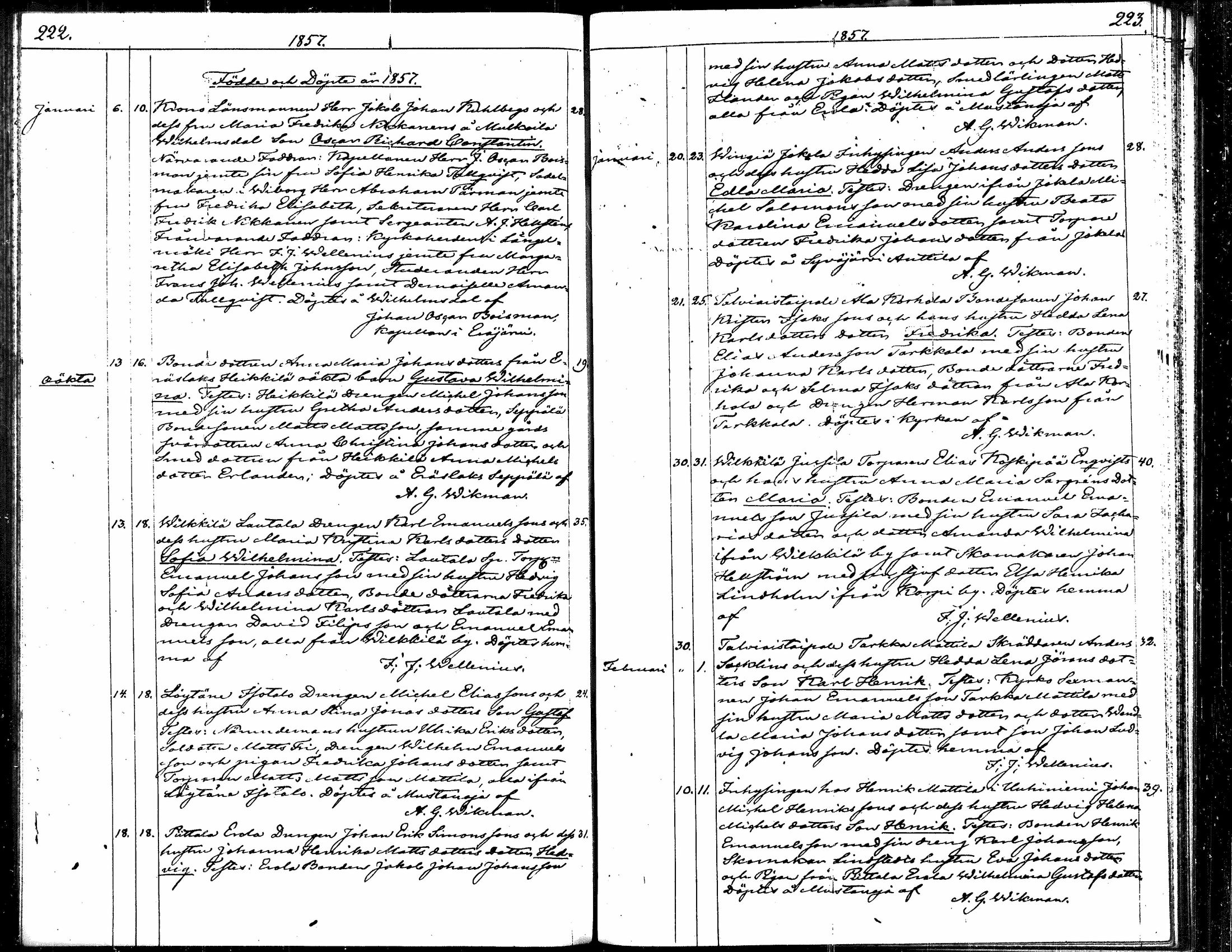 [ kuvat/121.jpg ]