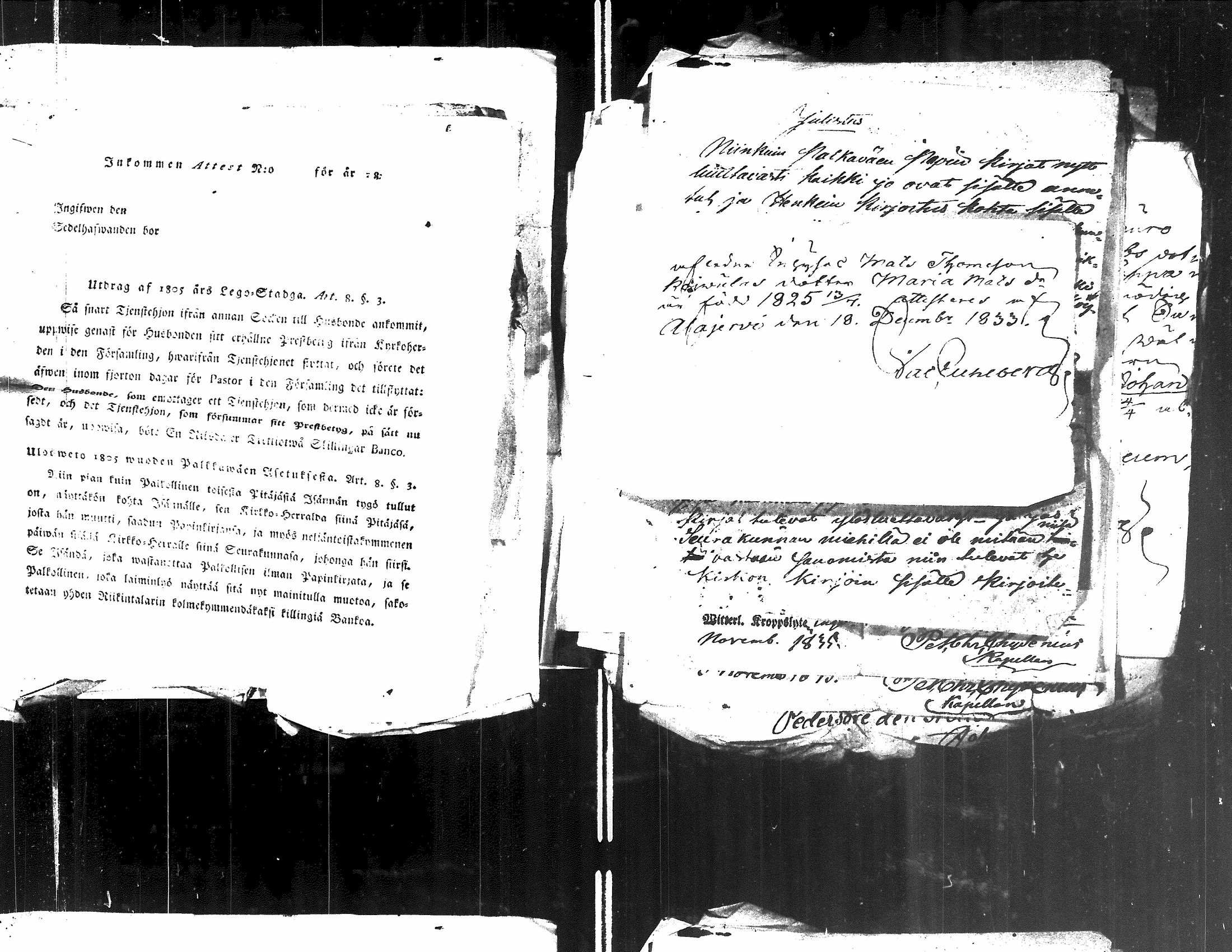 [ kuvat/317.jpg ]