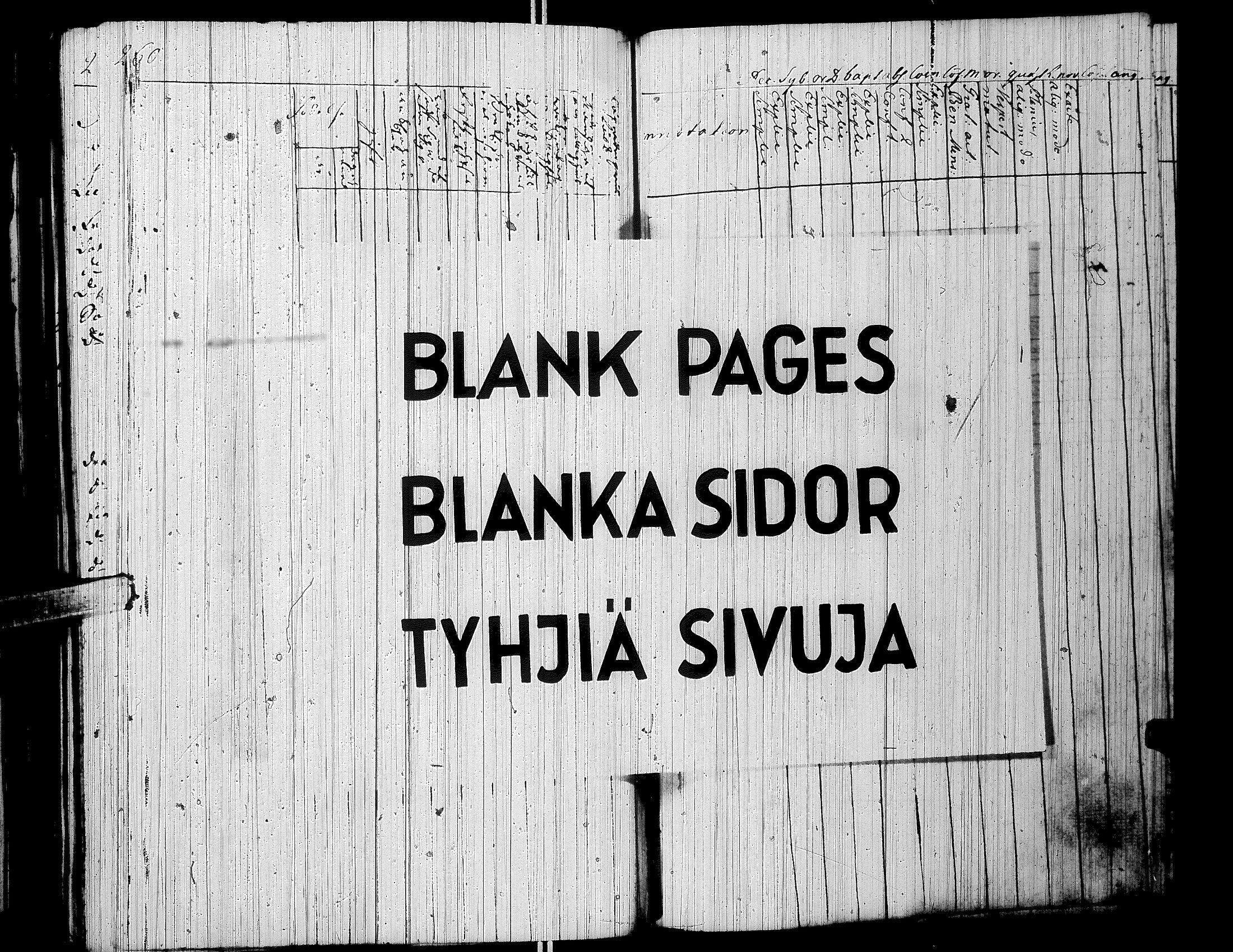 [ kuvat/271.jpg ]