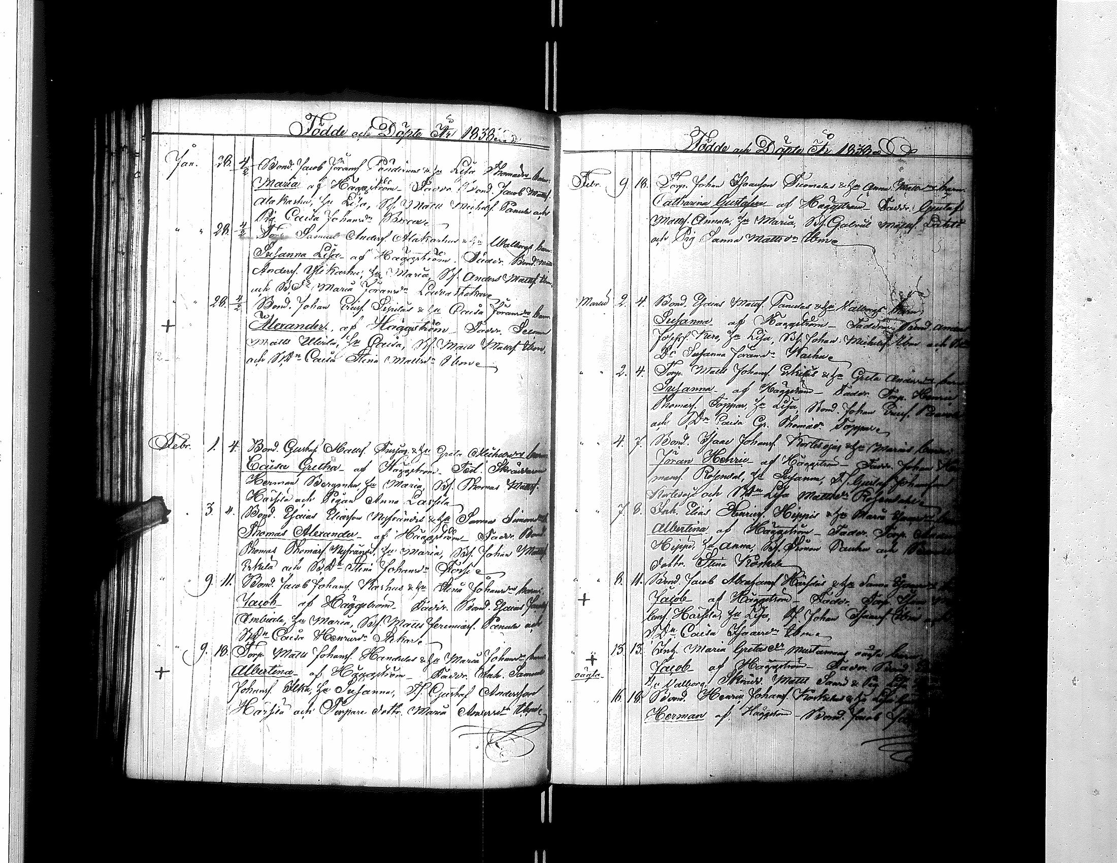[ kuvat/165.jpg ]