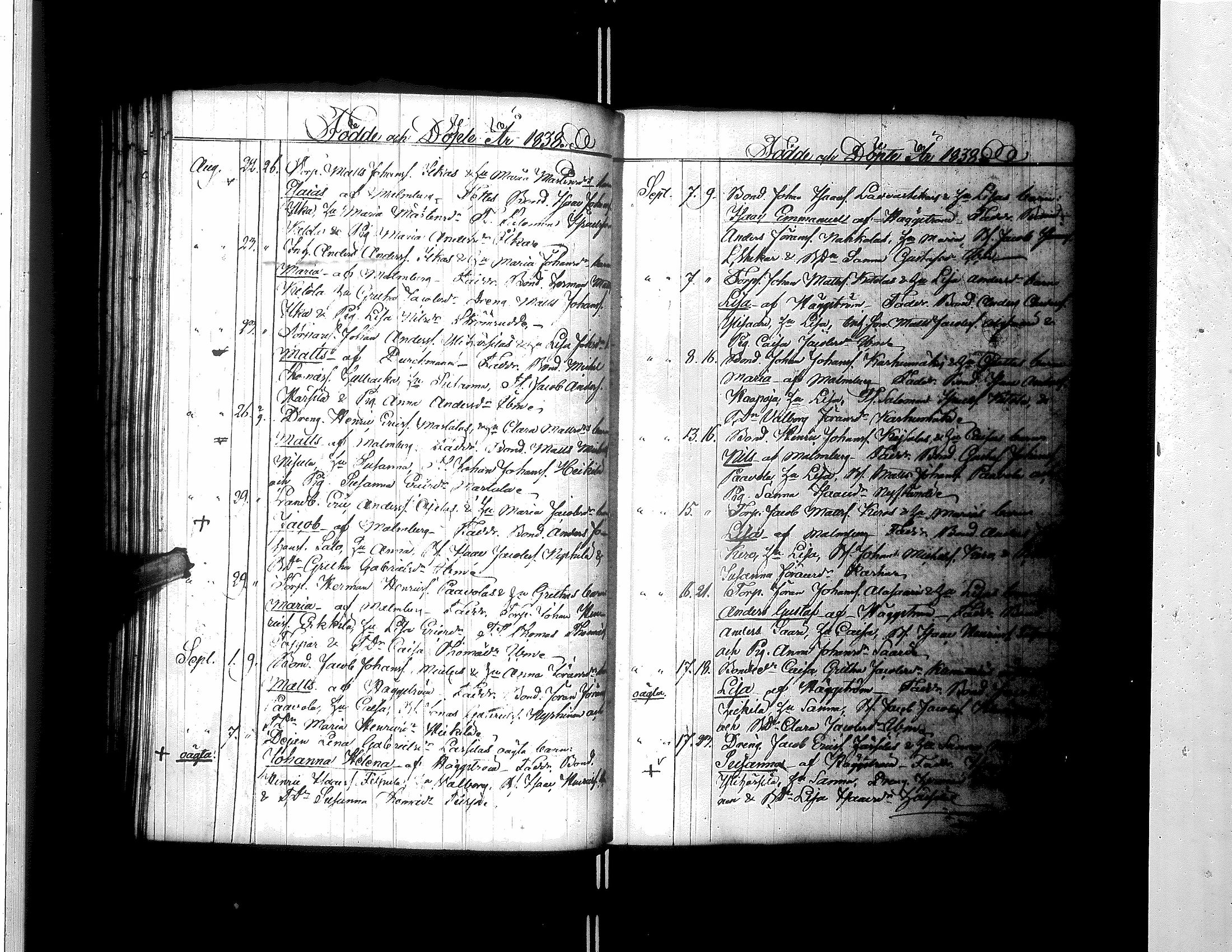 [ kuvat/170.jpg ]