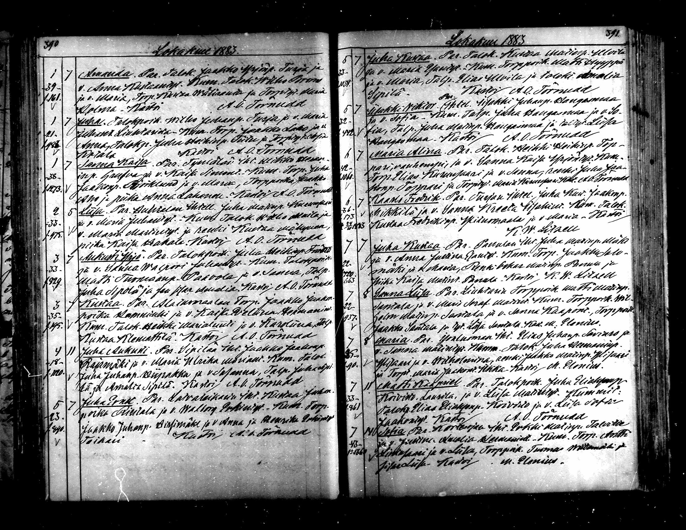 [ kuvat/191.jpg ]