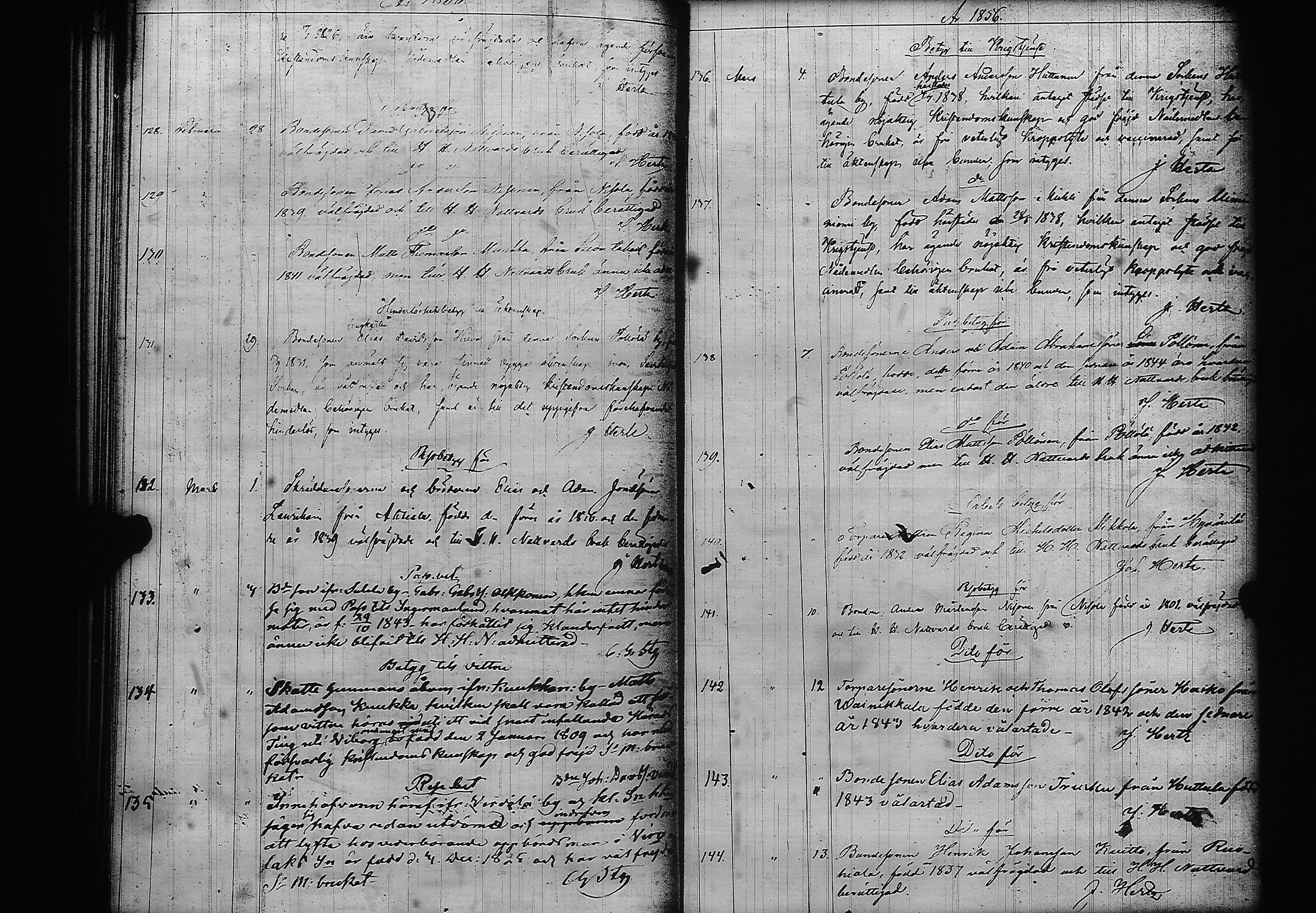 [ kuvat/115.jpg ]