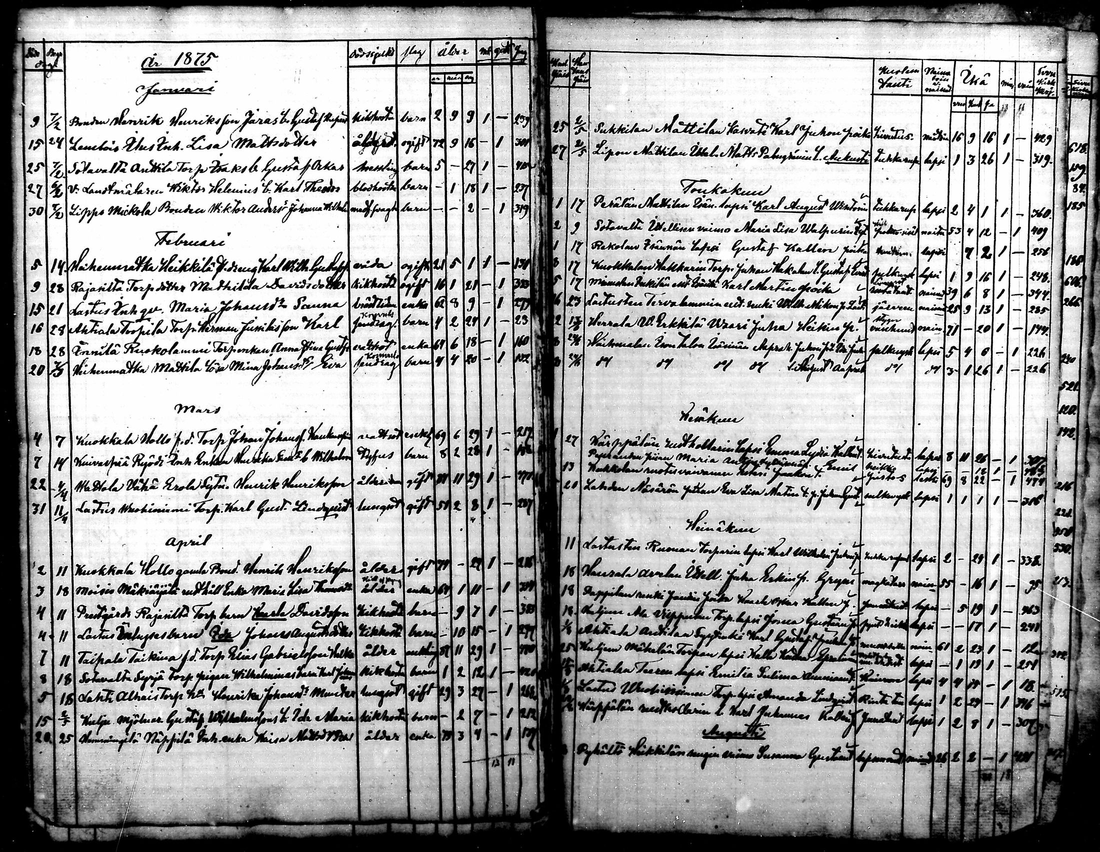 [ kuvat/125.jpg ]