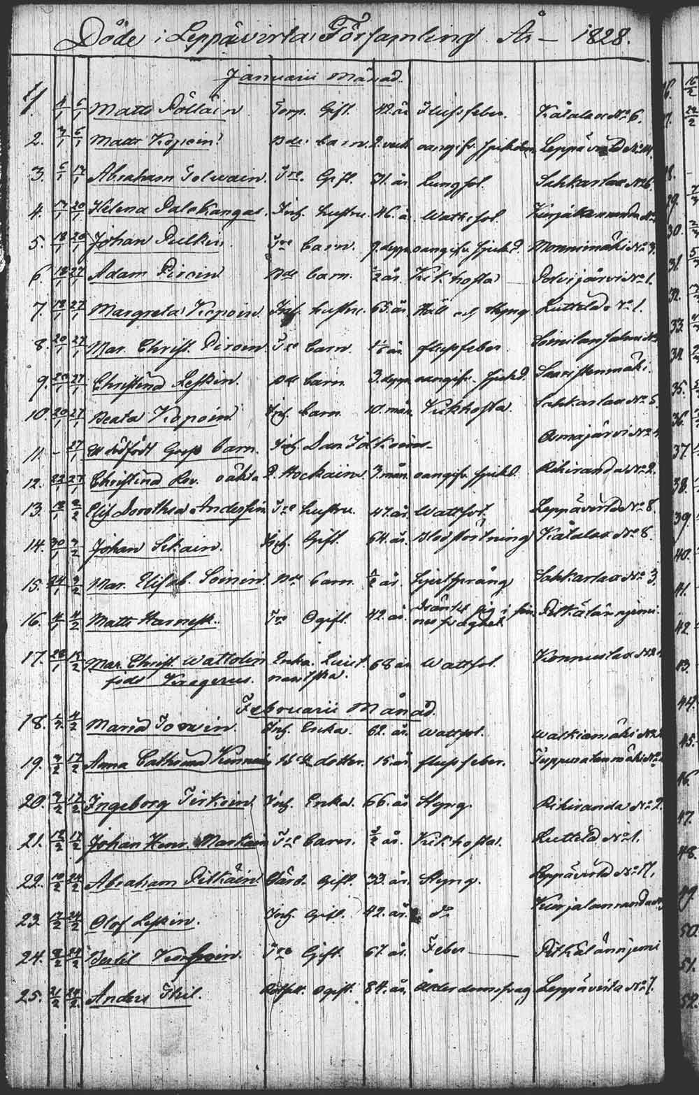 [ kuvat/205.jpg ]