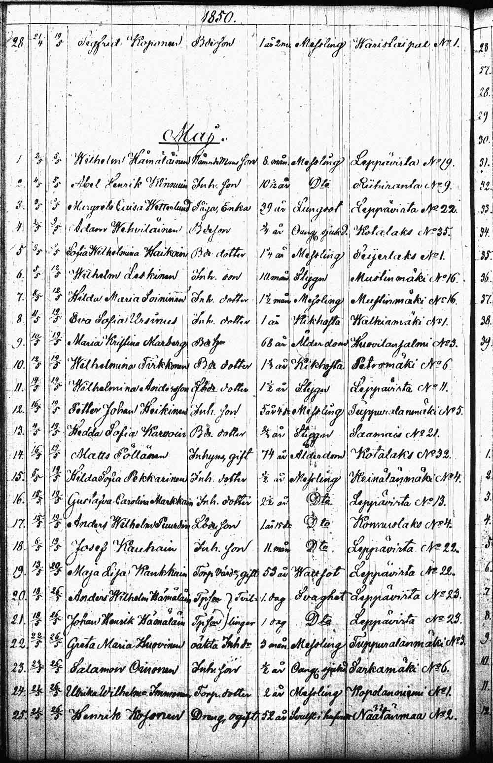 [ kuvat/203.jpg ]