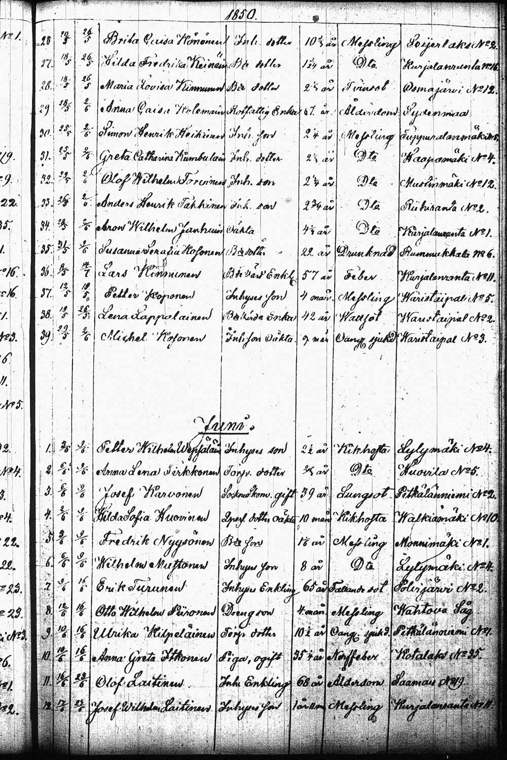 [ kuvat/204.jpg ]