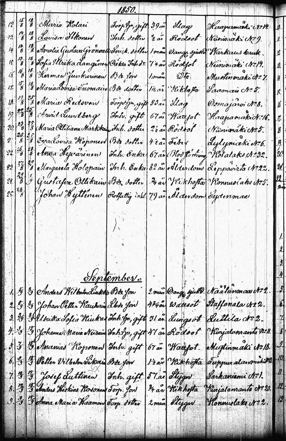 [ kuvat/207.jpg ]