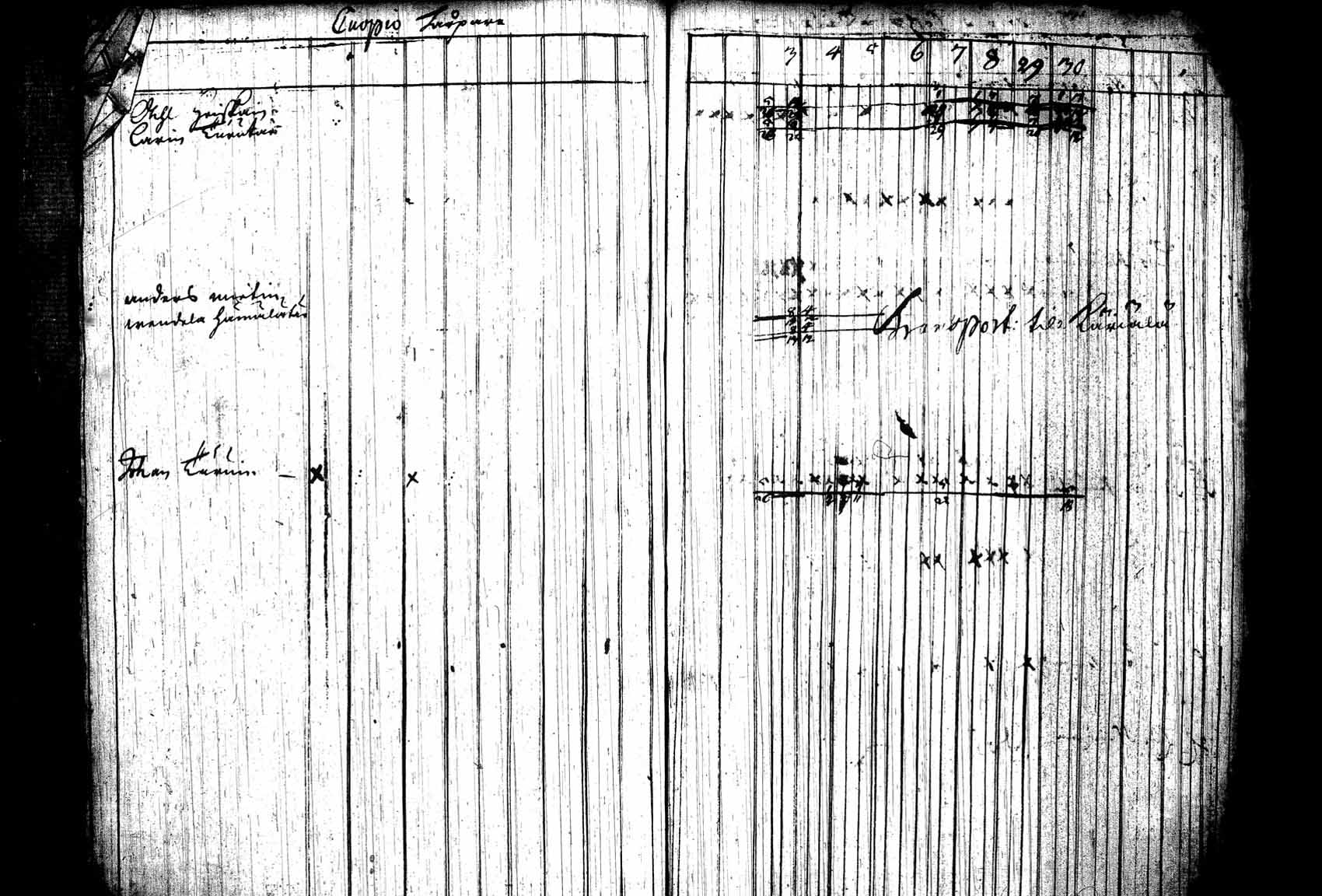 [ kuvat/251.jpg ]