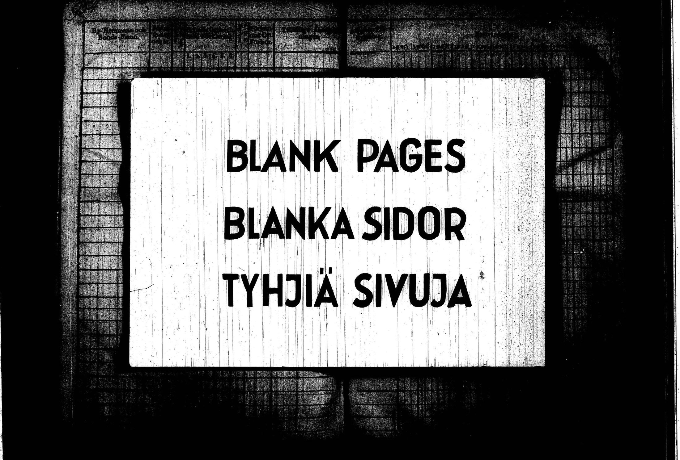 [ kuvat/650.jpg ]