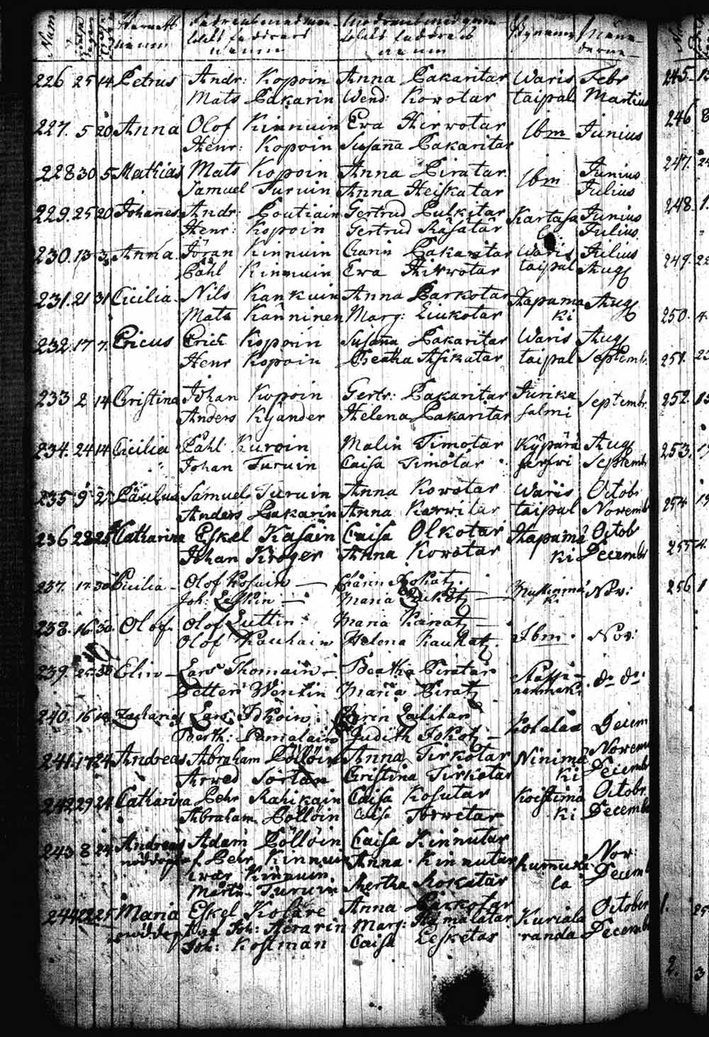 [ kuvat/118.jpg ]