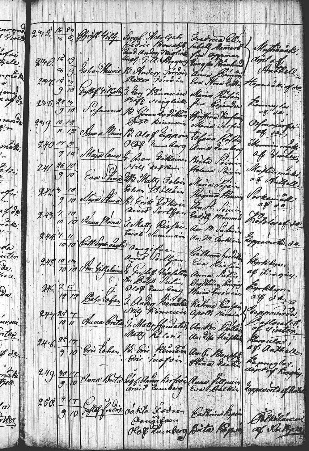 [ kuvat/313.jpg ]