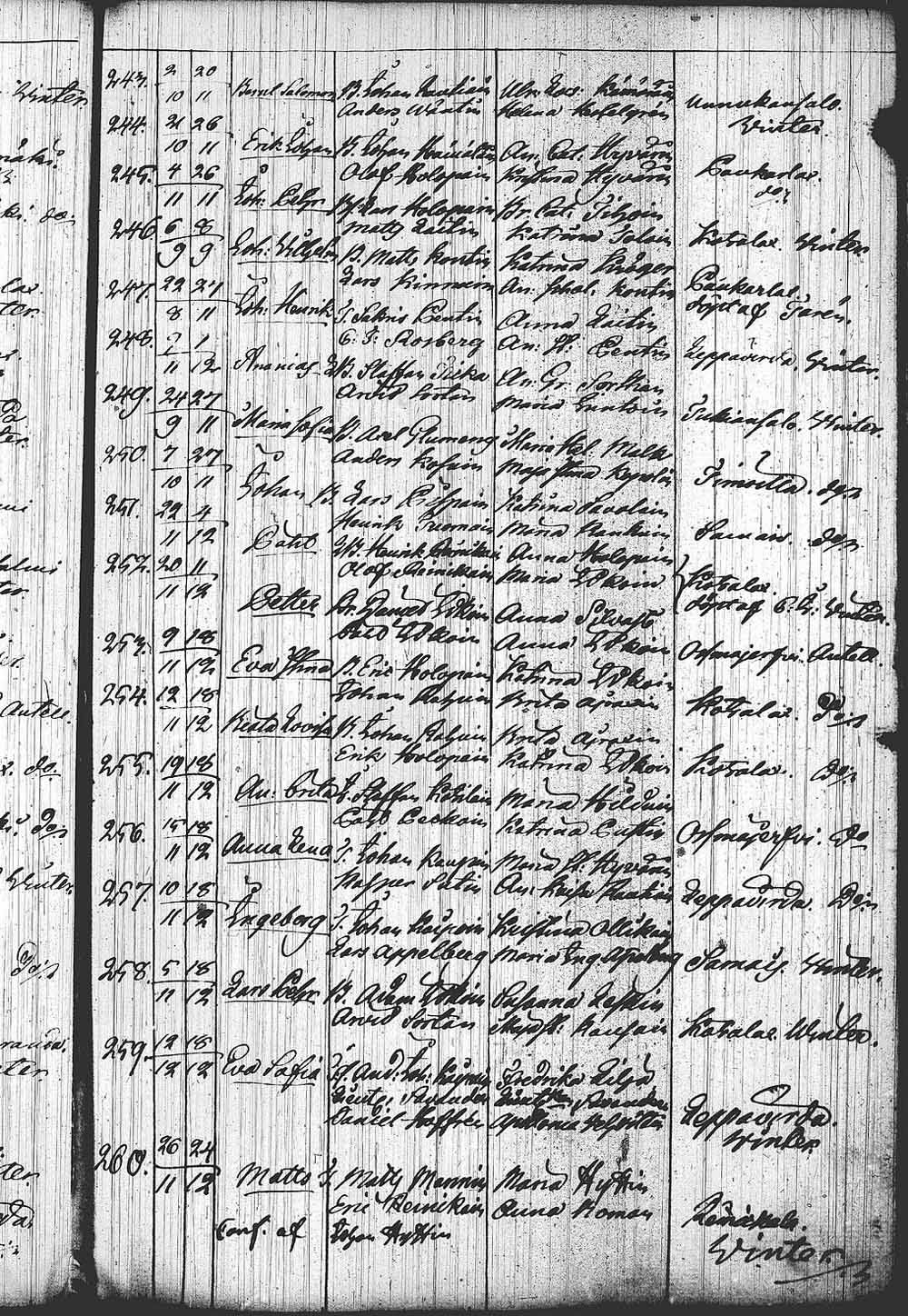[ kuvat/335.jpg ]