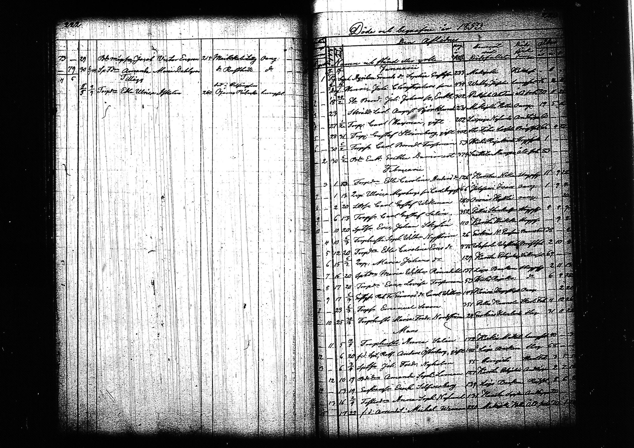 [ kuvat/123.jpg ]