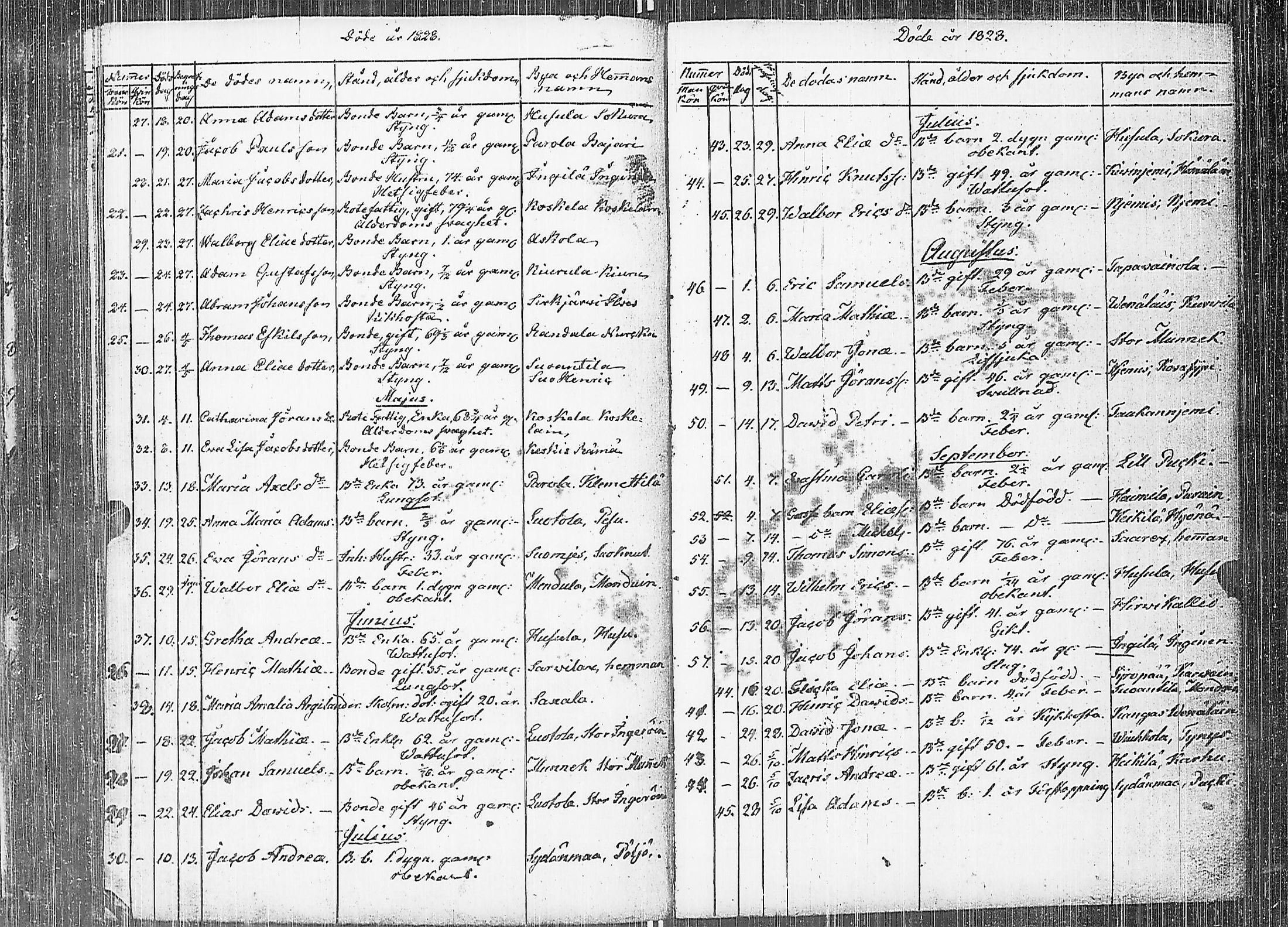 [ kuvat/219.jpg ]