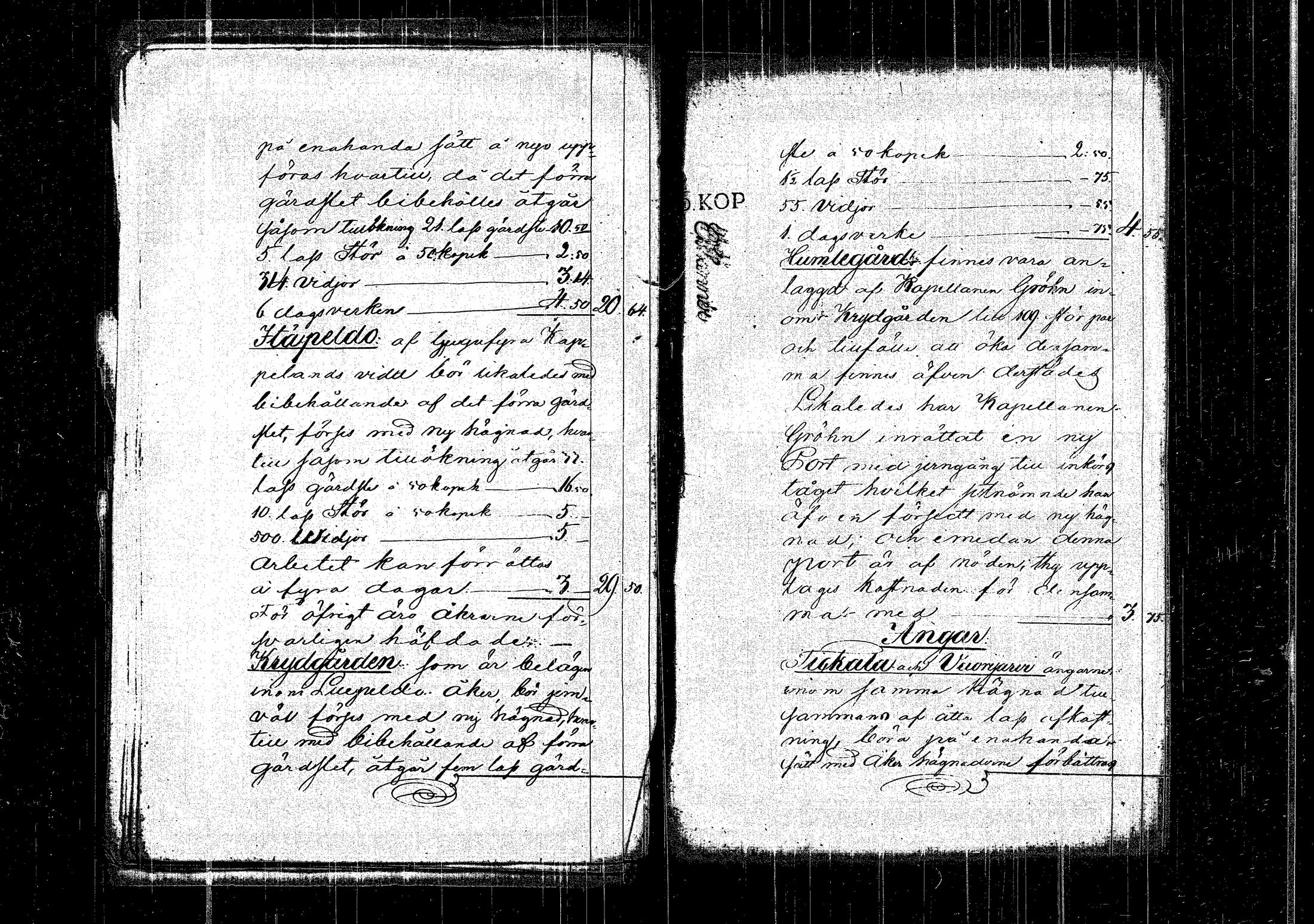 [ kuvat/115.jpg ]