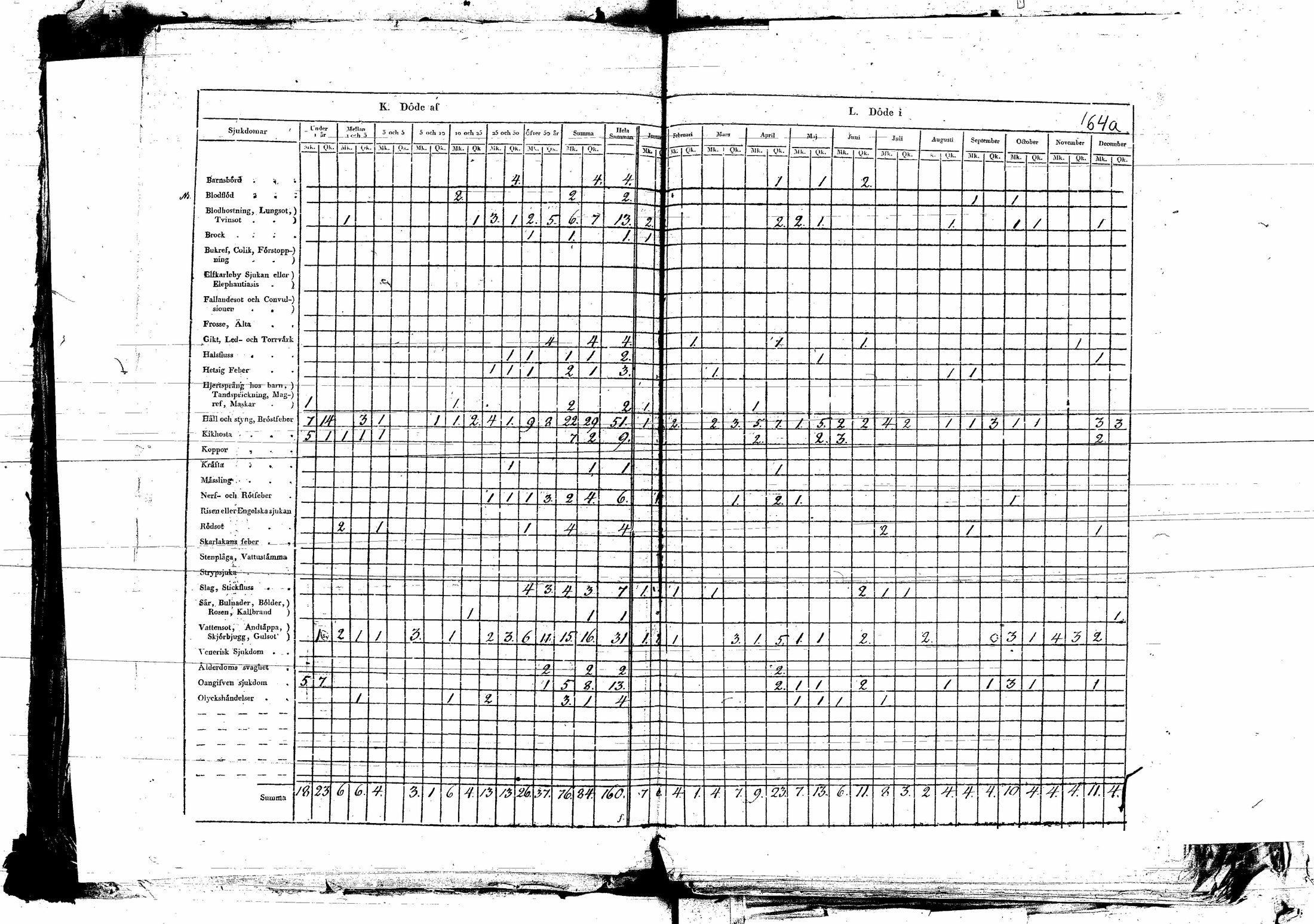 [ kuvat/162.jpg ]
