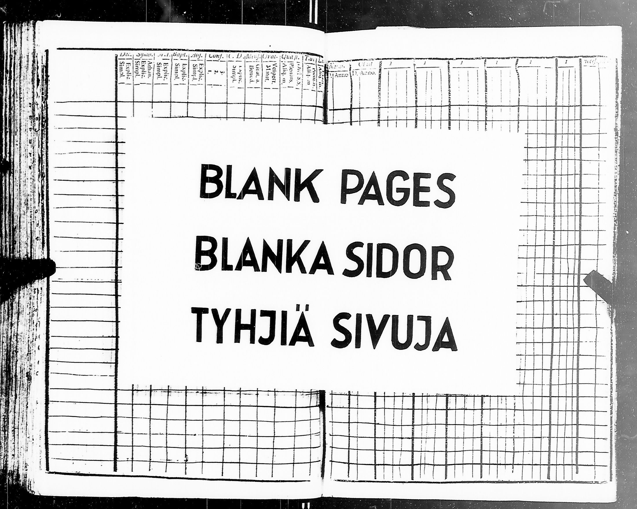 [ kuvat/274.jpg ]