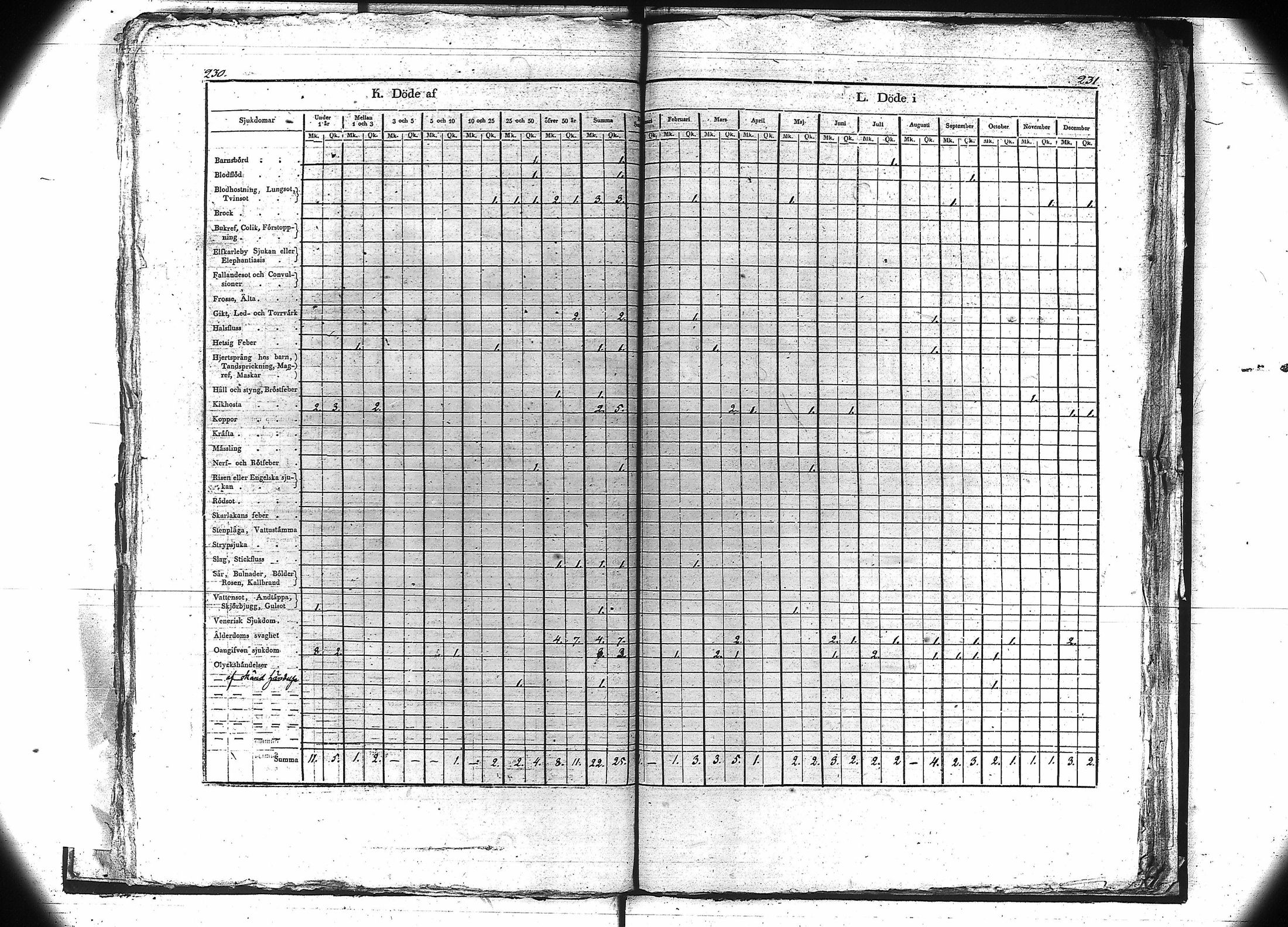 [ kuvat/118.jpg ]