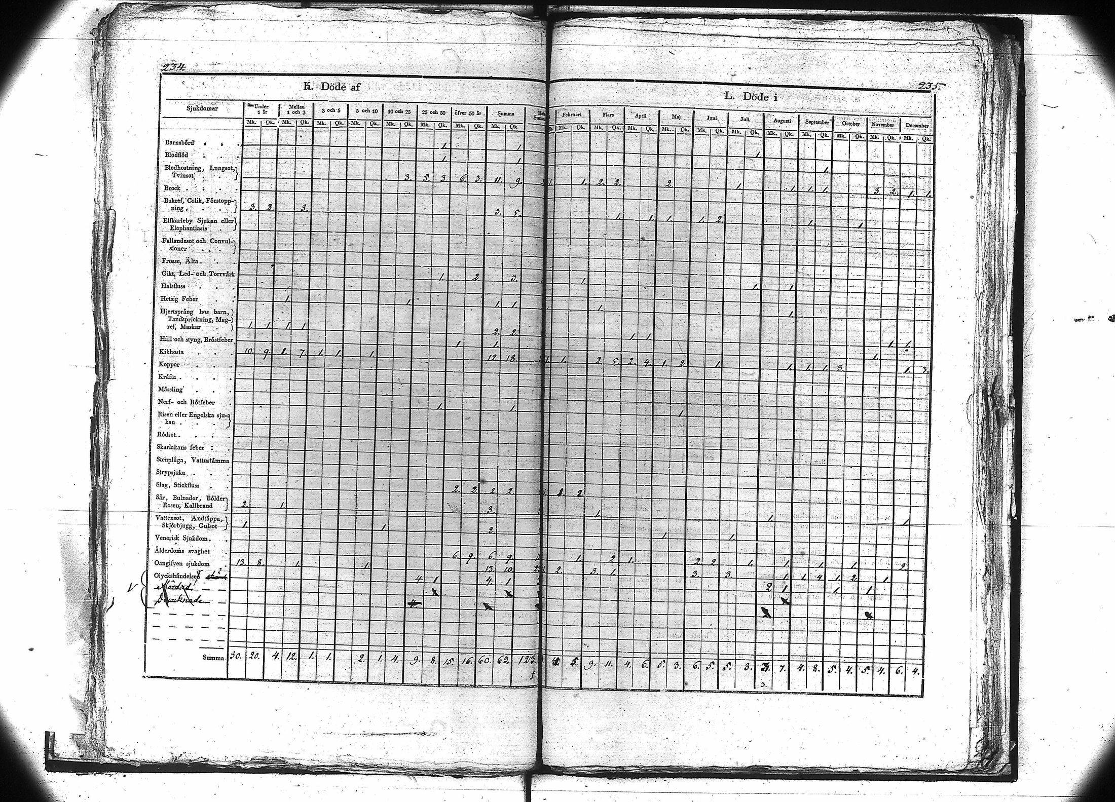[ kuvat/120.jpg ]